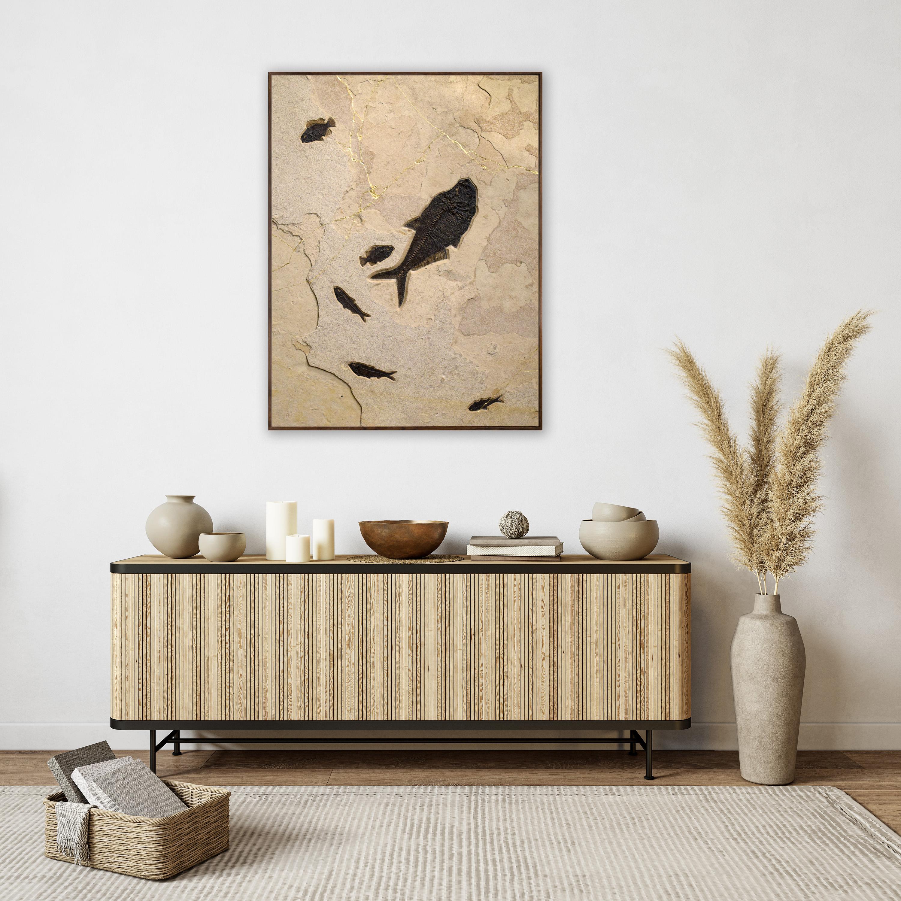 This fossil fish mural features a large Diplomystus dentatus, three Knightia eocaena, and two Cockerellites liops in natural, fossil-bearing limestone. This stone’s soft, warm colors are a perfect contrast for the deep color of the fossils. The