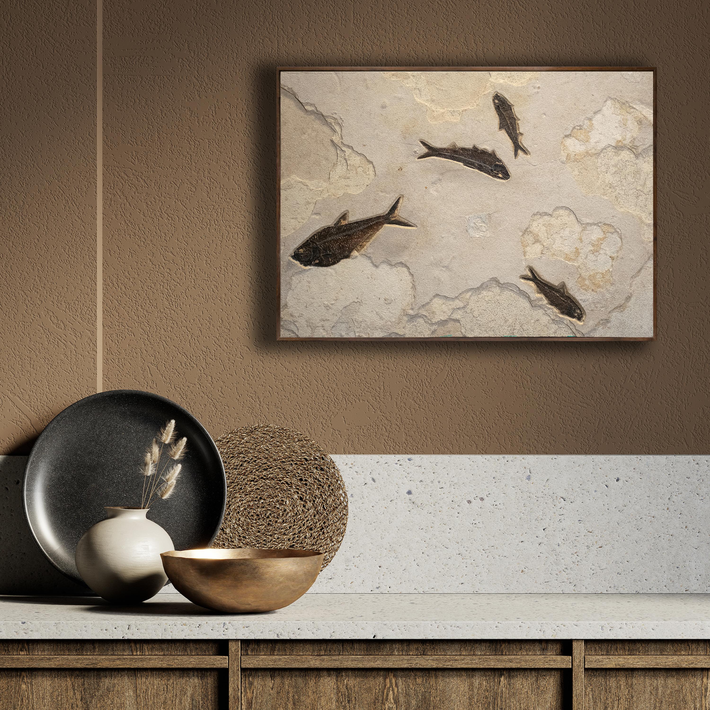 Eocene Era fossil fish from the Green River Formation are the feature in this sculptural stone mural: a Diplomystus dentatus is accented by three smaller Knightia eocaena. These fossil fish are about 50 million years old and are forever preserved in