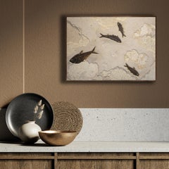 50 Million Year Old Fossil Fish Mural from the Green River Formation, Wyoming