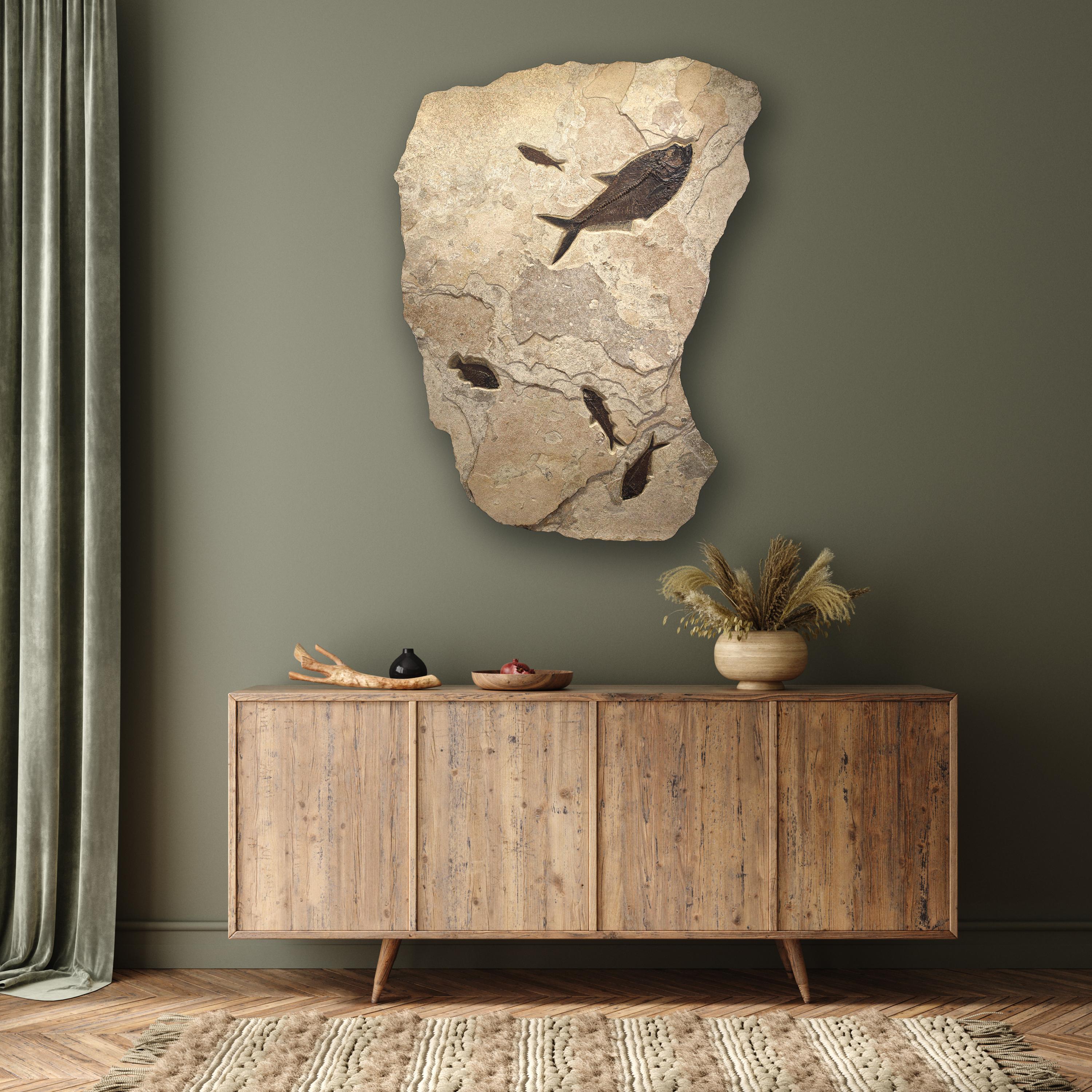 Diese fossile Wandskulptur zeigt zwei Diplomystus dentatus, einen Cockerellites liops (früher bekannt als Priscacara) und zwei Knightia eocaena; alle diese Fische sind Fossilien aus dem Eozän, die etwa 50 Millionen Jahre alt sind. Diese uralten