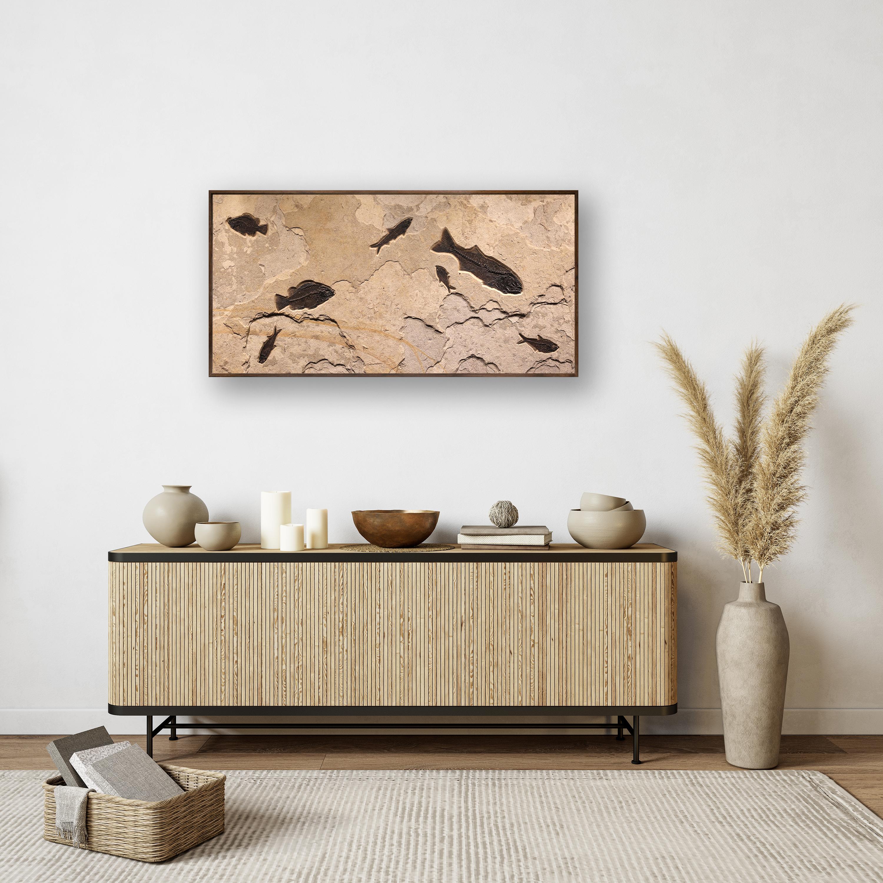 Immerse yourself in the timeless beauty of natural history with our exquisite collection of luxury fossil art. Showcasing breathtaking natural specimens from the legendary Green River Formation in Wyoming, each piece crafted by Green River Fossil