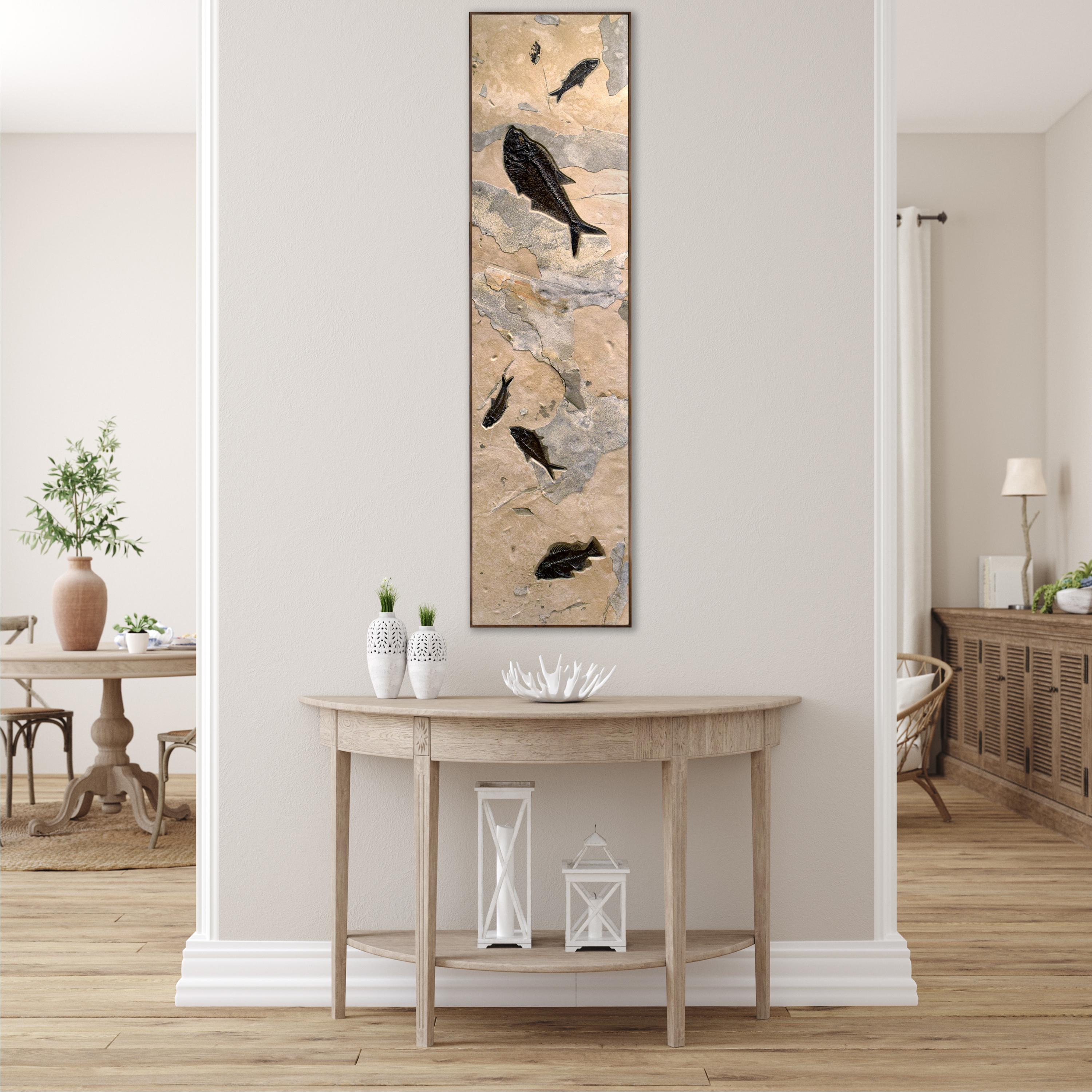 Immerse yourself in the timeless beauty of natural history with our exquisite collection of luxury fossil art. Showcasing breathtaking natural specimens from the legendary Green River Formation in Wyoming, each piece crafted by Green River Fossil