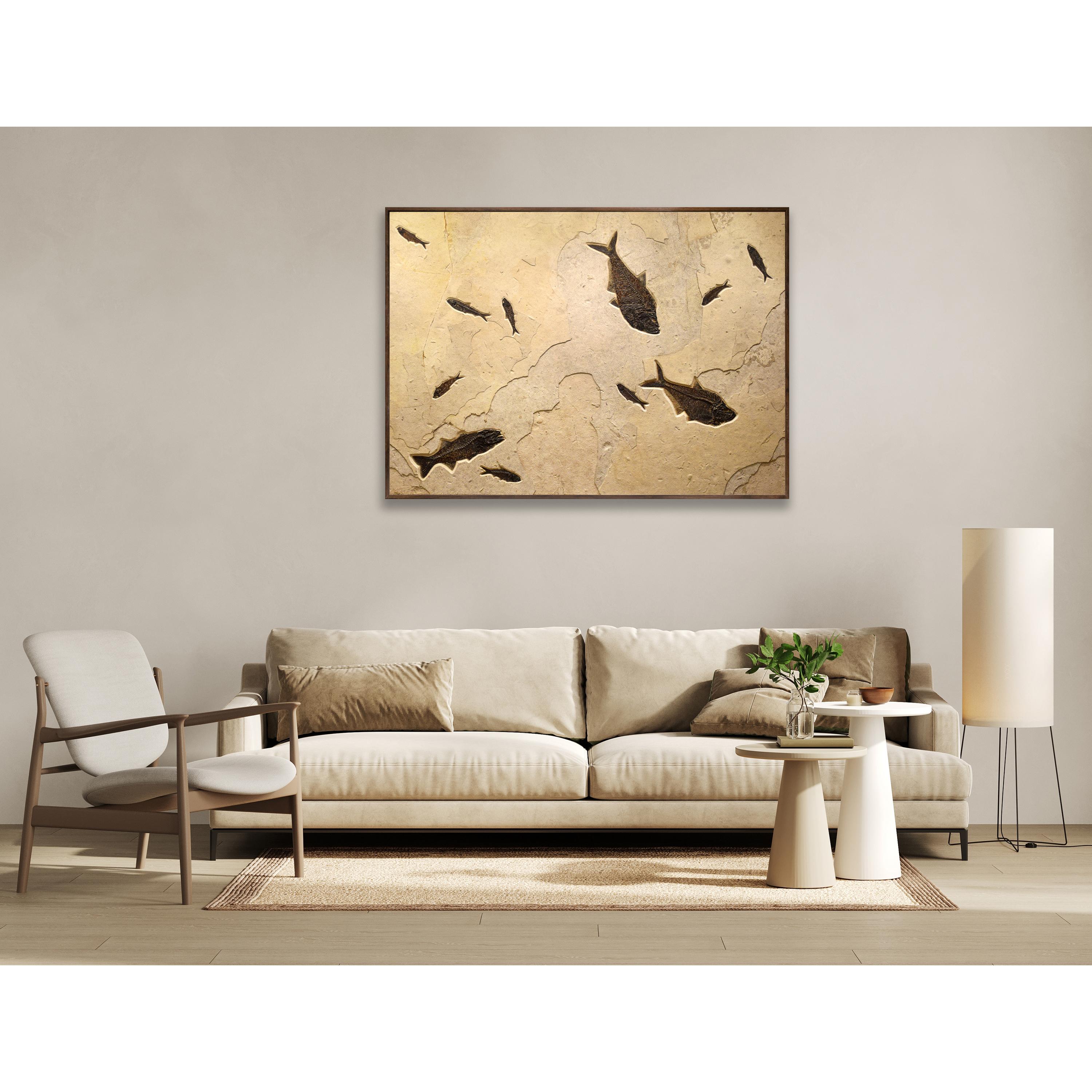 Immerse yourself in the timeless beauty of natural history with our exquisite collection of luxury fossil art. Showcasing breathtaking natural specimens from the legendary Green River Formation in Wyoming, each piece crafted by Green River Fossil