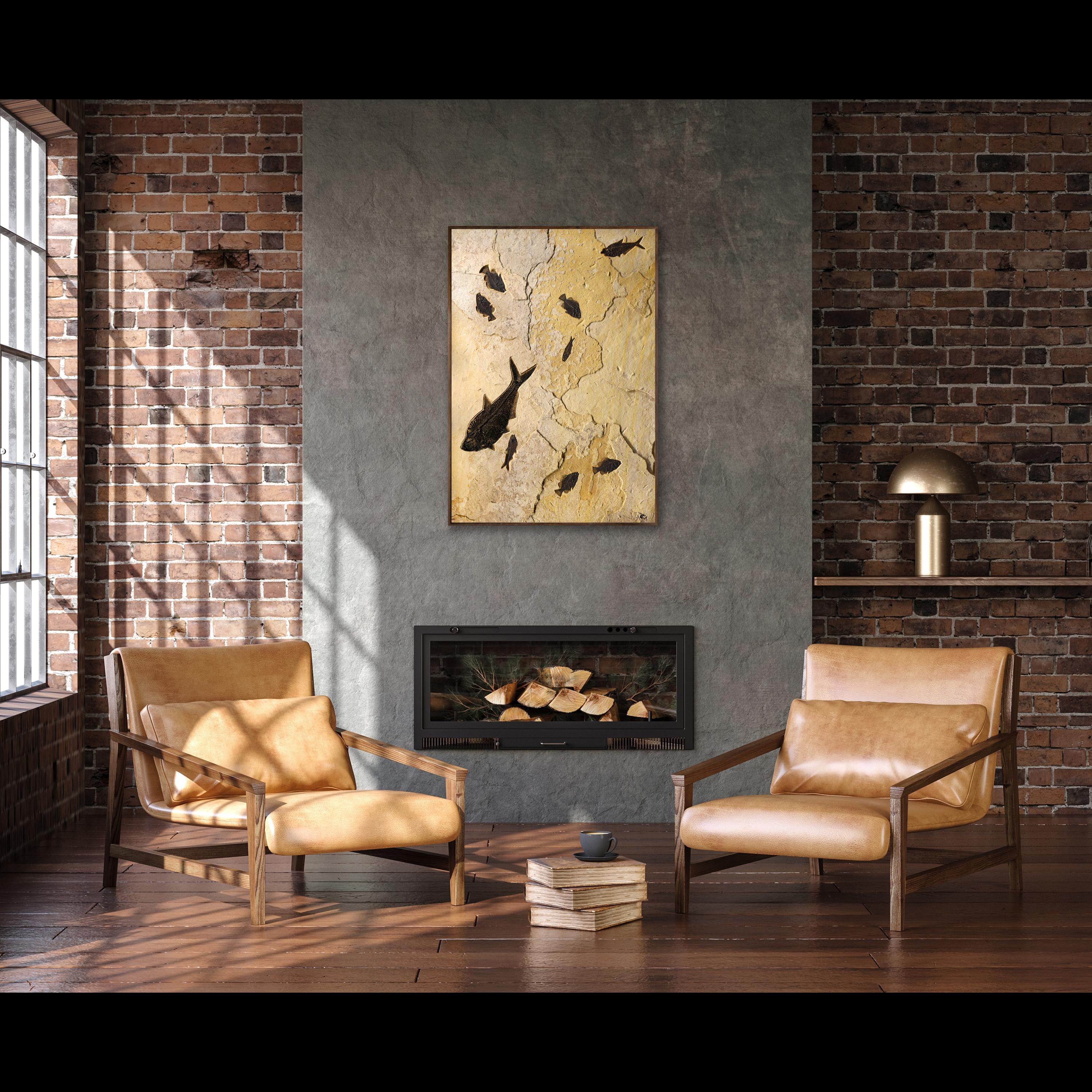 Immerse yourself in the timeless beauty of natural history with our exquisite collection of luxury fossil art. Showcasing breathtaking natural specimens from the legendary Green River Formation in Wyoming, each piece crafted by Green River Fossil