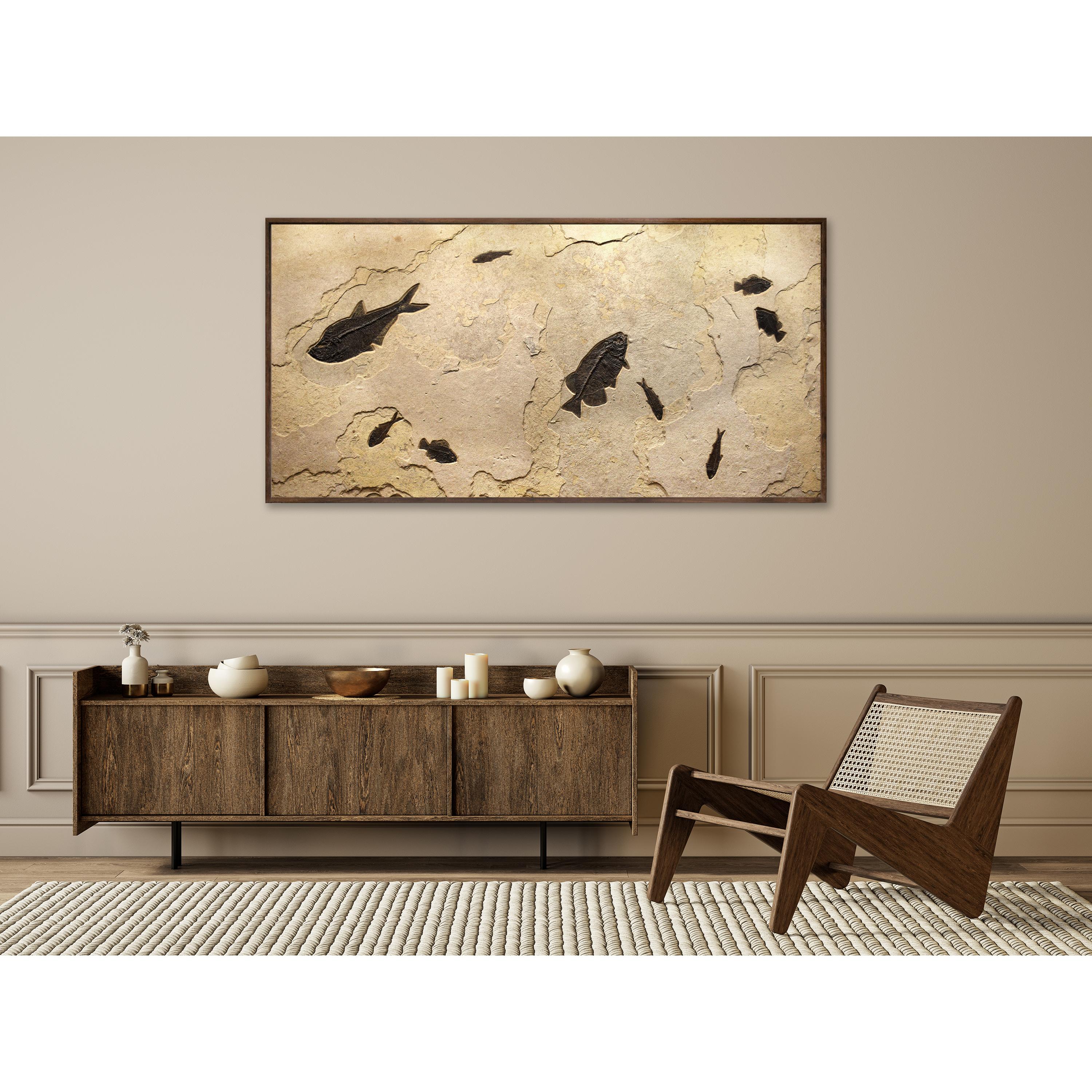Immergiti nella bellezza senza tempo della storia naturale con la nostra squisita collezione di arte fossile di lusso. Con esemplari naturali mozzafiato provenienti dalla leggendaria Formazione del Fiume Verde nel Wyoming, ogni pezzo realizzato
