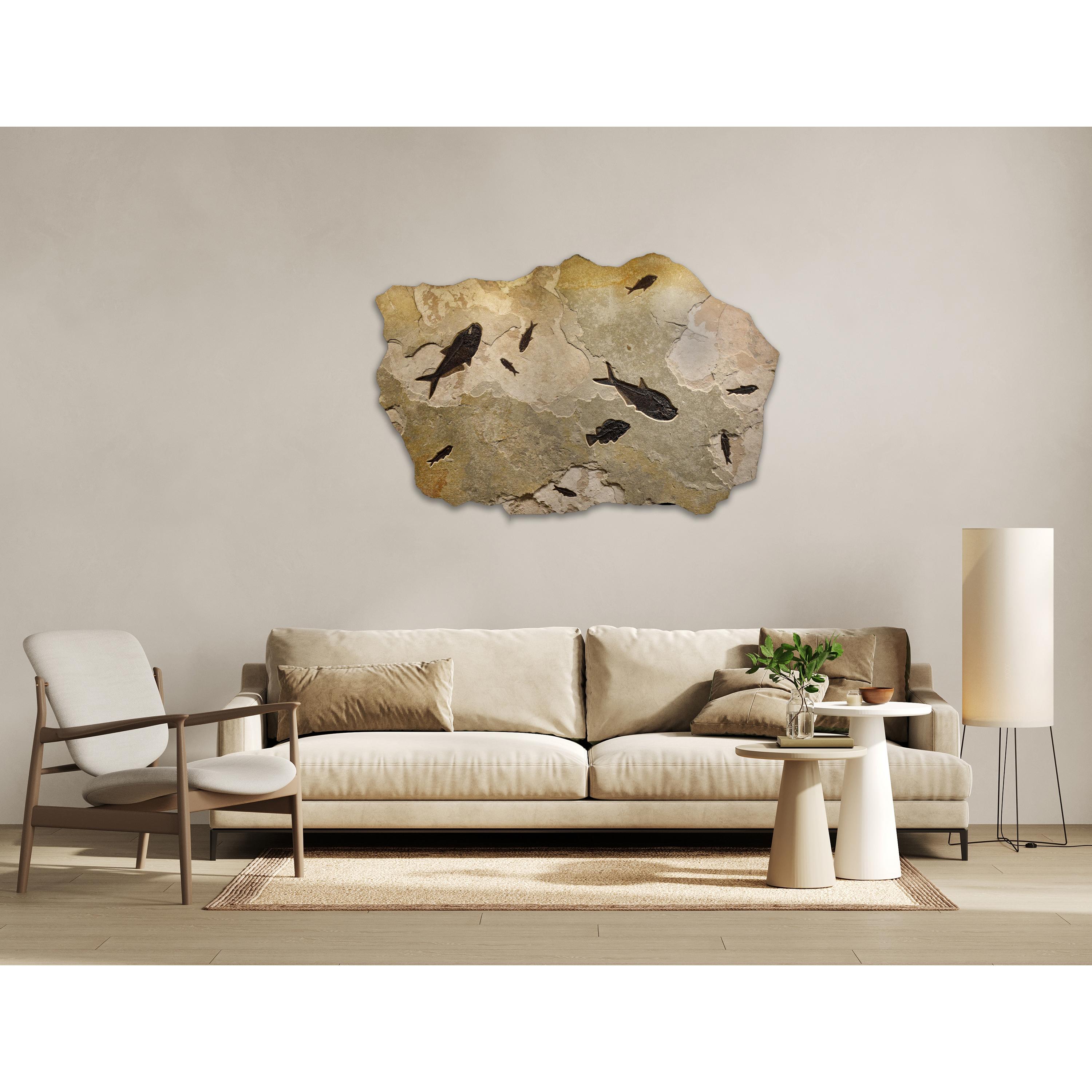 Immerse yourself in the timeless beauty of natural history with our exquisite collection of luxury fossil art. Showcasing breathtaking natural specimens from the legendary Green River Formation in Wyoming, each piece crafted by Green River Fossil