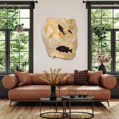 50 Million Year Old Fossil Fish Mural from the Green River Formation, Wyoming