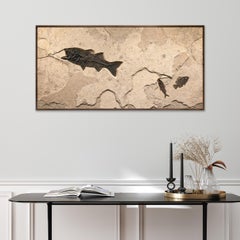 50 Million Year Old Fossil Fish Mural from the Green River Formation, Wyoming
