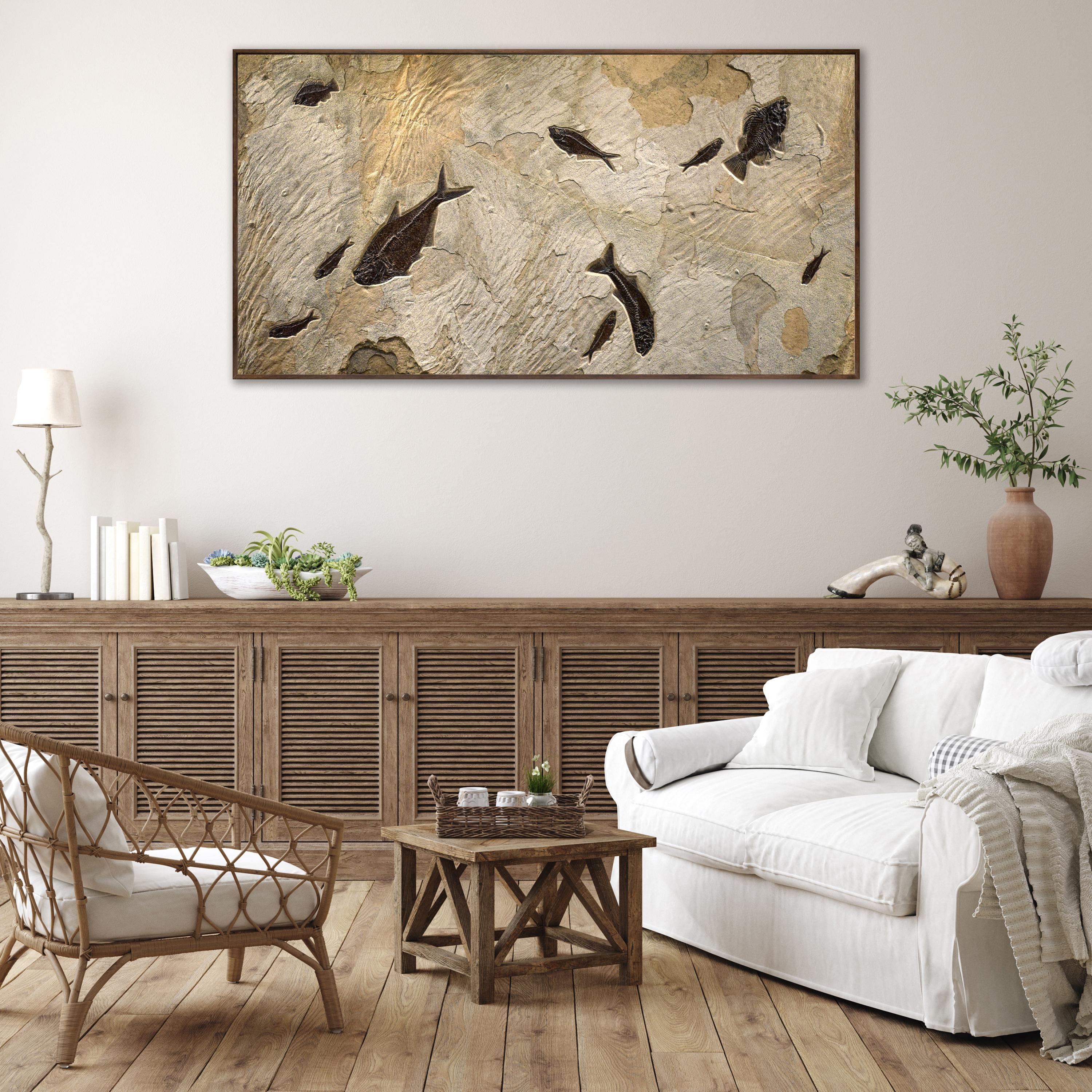 American 50 Million Year Old Fossil Fish Mural from the Green River Formation, Wyoming For Sale