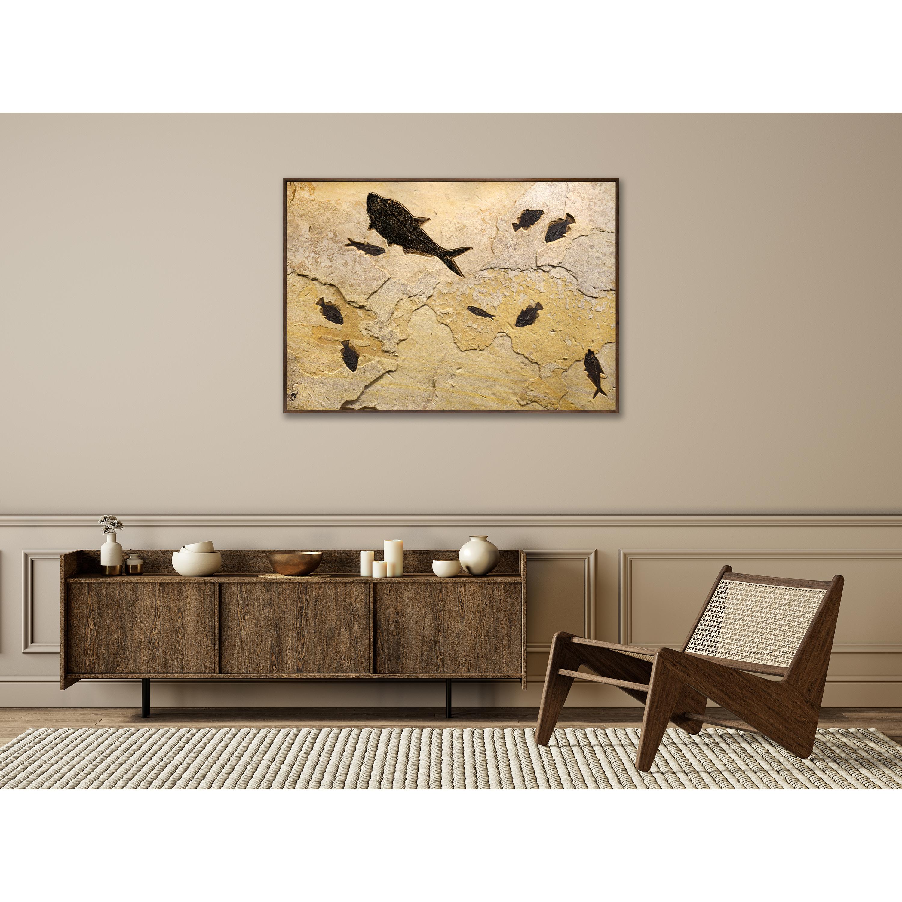 50 Million Year Old Fossil Fish Mural from the Green River Formation, Wyoming In New Condition In Logan, UT