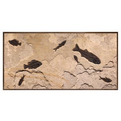 Peinture murale d'un poisson fossile vieux de 50 millions d'années provenant de la formation de Green River, Wyoming