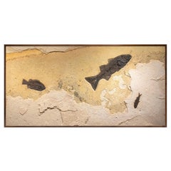 50 Million Year Old Fossil Fish Mural from the Green River Formation, Wyoming