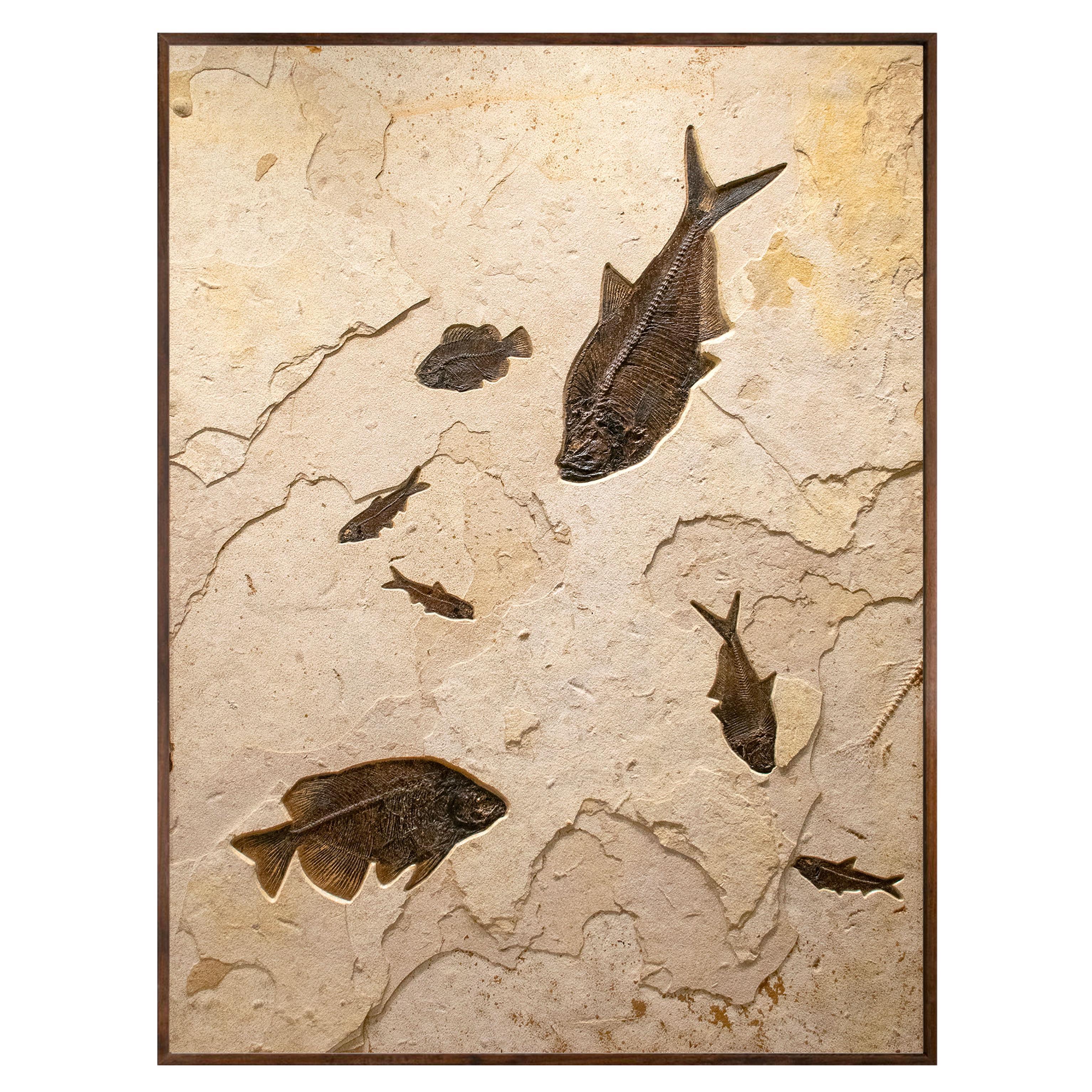 What is fossil art?