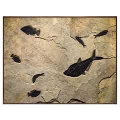 Decorative Art