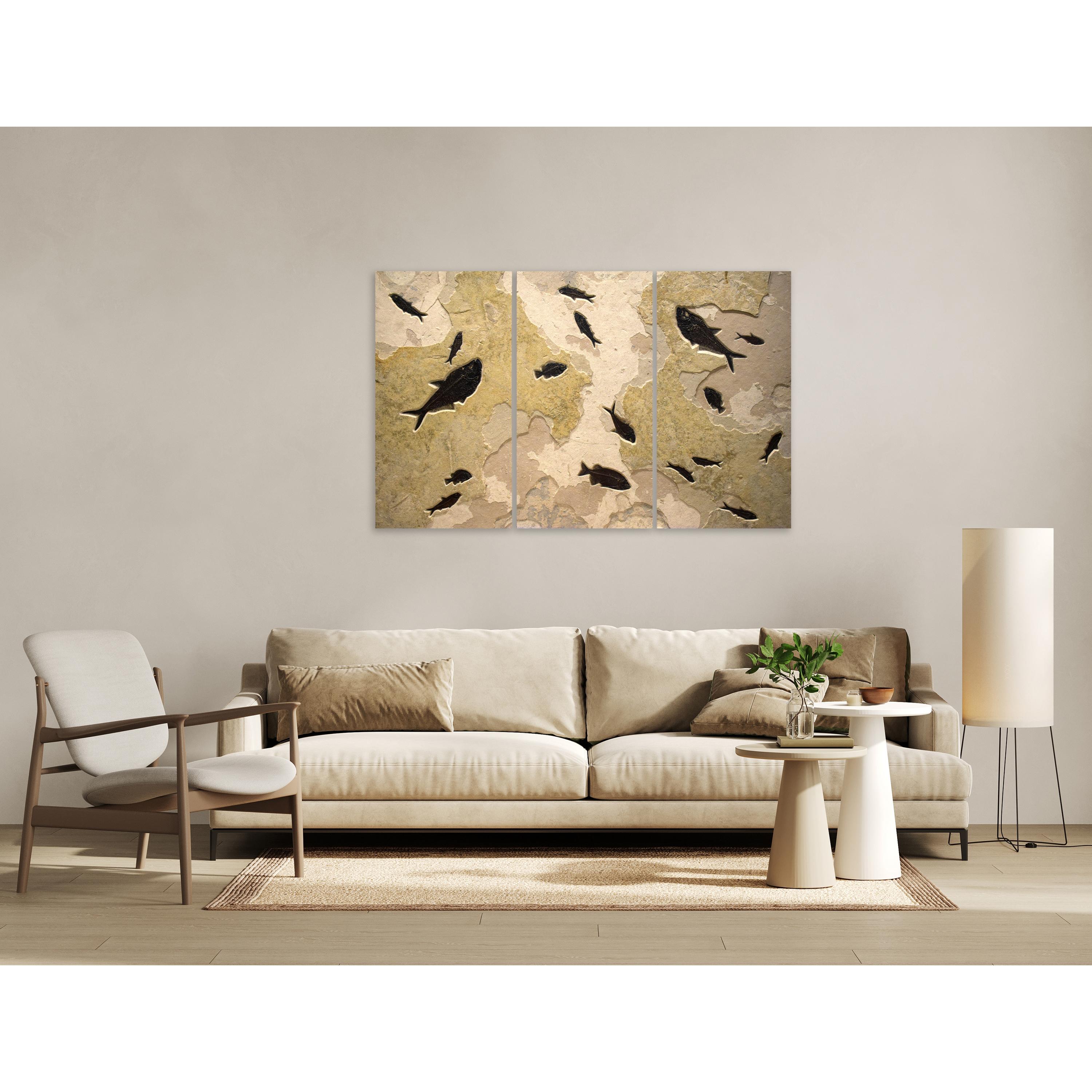 An array of exceptionally well-preserved fossil fish flow through the three panels of this dramatic fossil fish mural: four Diplomystus dentatus, a 9-1/2″ Phareodus testis, three Cockerellites liops, and five Knightia eocaena were all beautifully