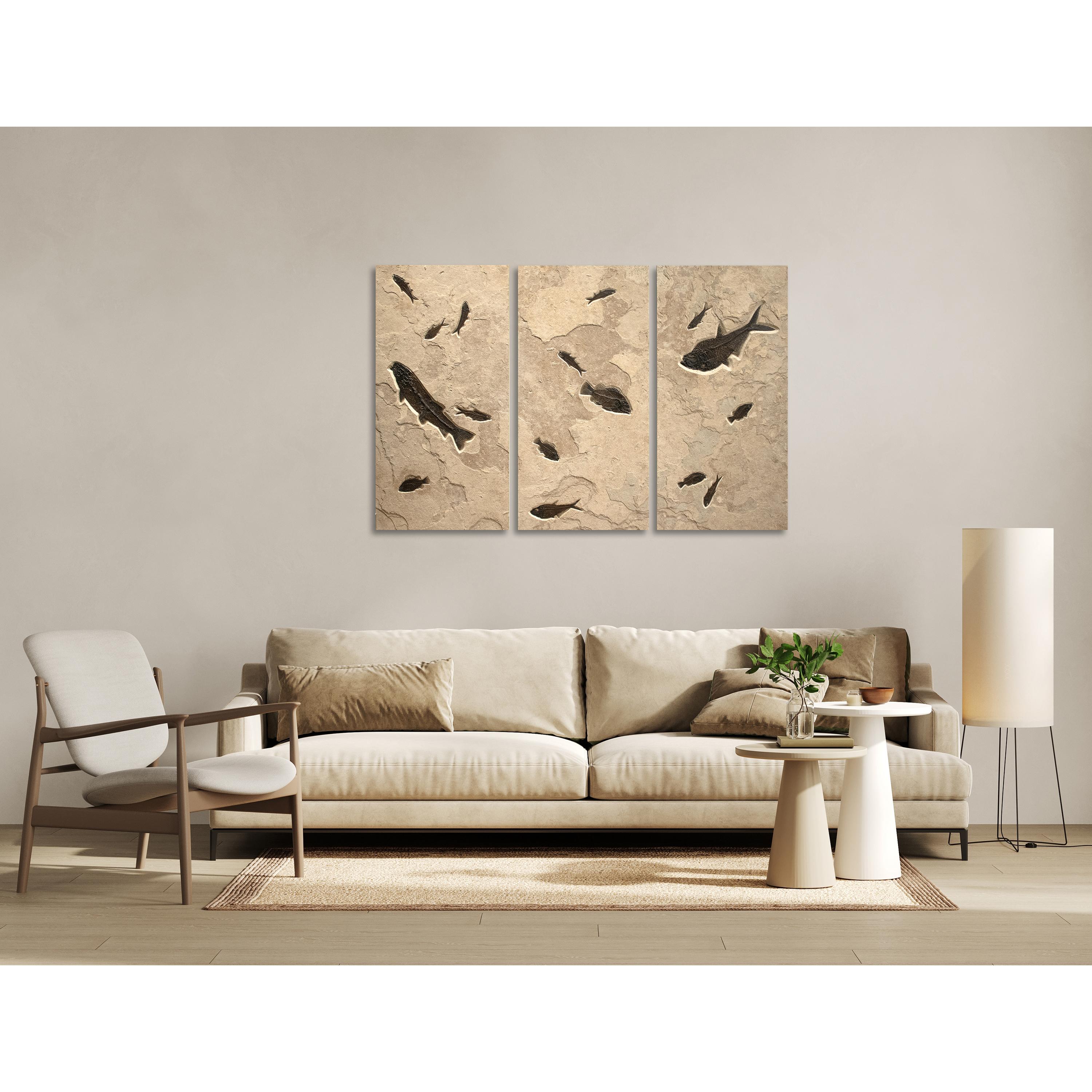 Immerse yourself in the timeless beauty of natural history with our exquisite collection of luxury fossil art. Showcasing breathtaking natural specimens from the legendary Green River Formation in Wyoming, each piece crafted by Green River Fossil