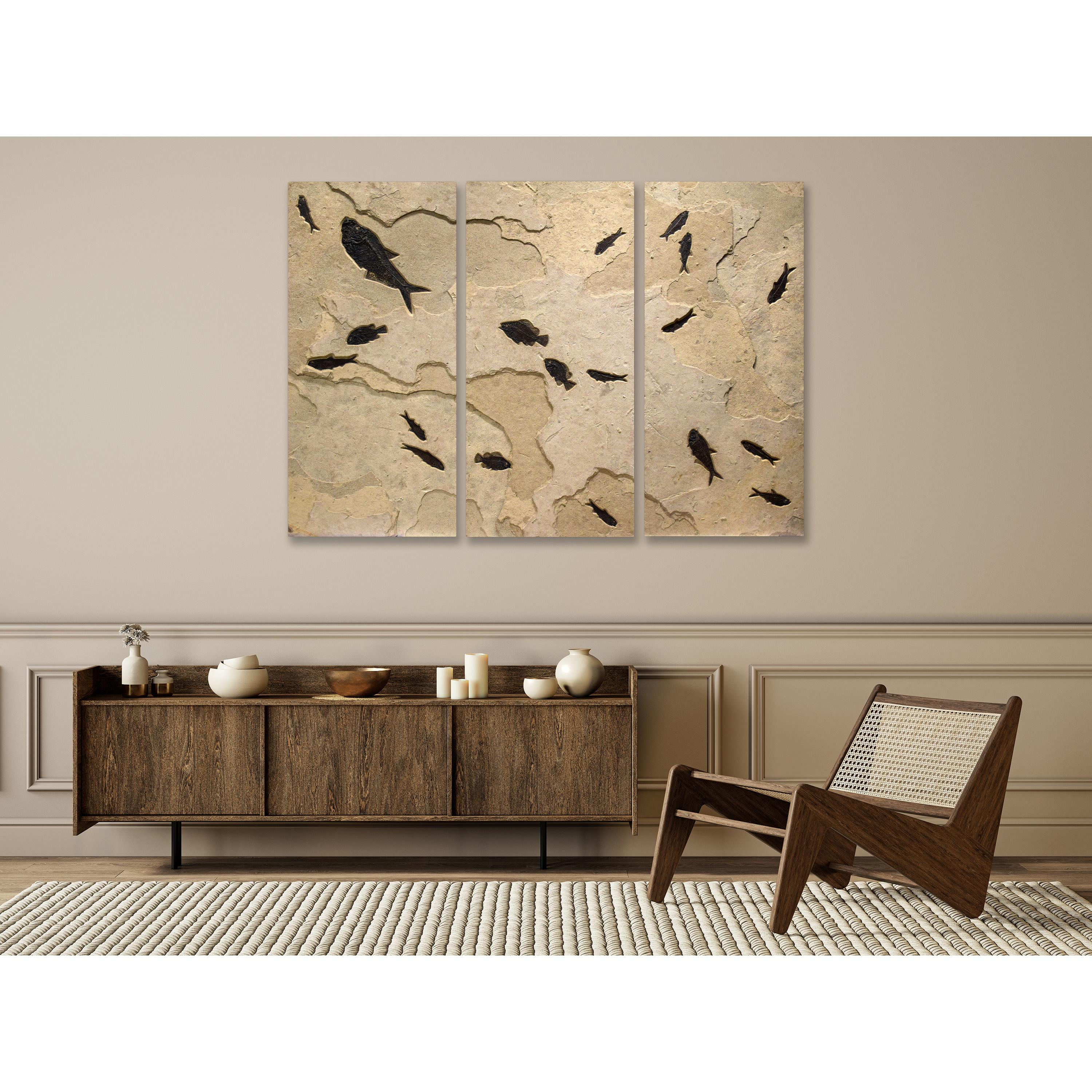This sculptural stone triptych features a beautiful array of fossil fish: three Diplomystus dentatus, four Cockerellites liops, and twelve Knightia eocaena are all preserved in an elegant flow. These 50-million-year-old fossil fish are from the