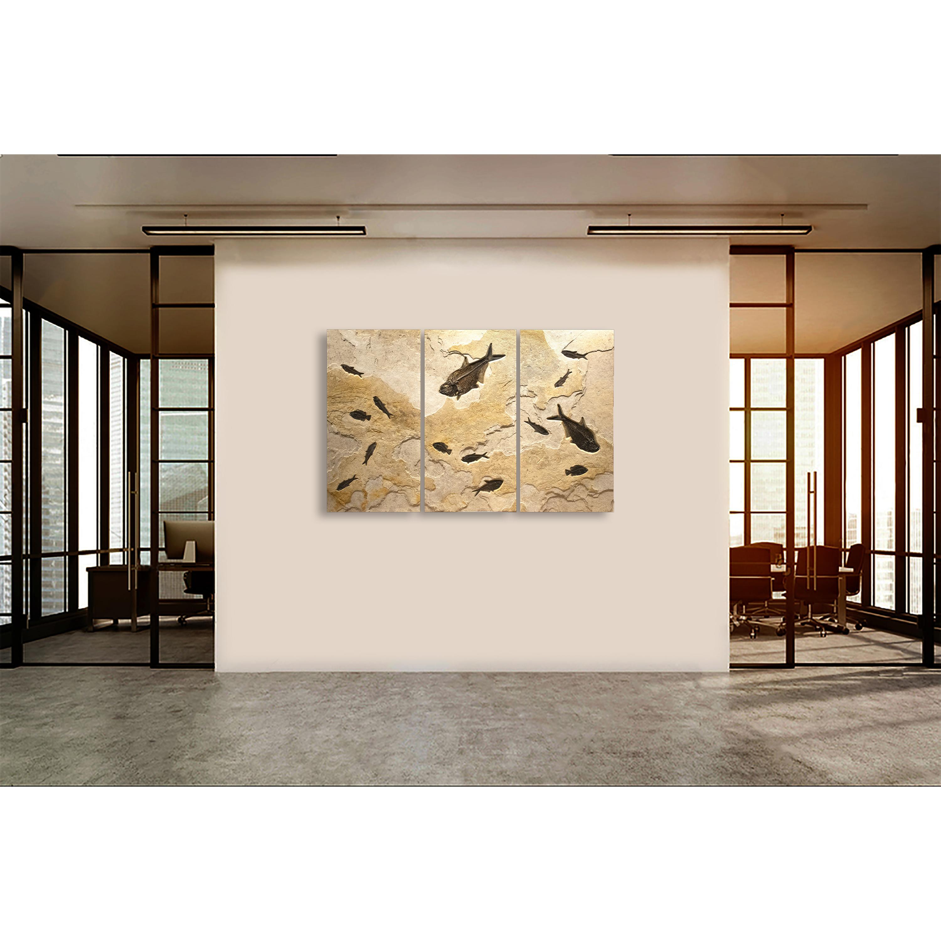 Our fossil triptych murals are designed for drama and impact. Featuring the gorgeous coloring of a sedimentary layer rich in volcanic ash, this fossil-bearing limestone matrix is a rich host for the genuine fossil fish swimming across all three