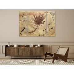 50 Million Year Old Fossil Palm & Fish Triptych, Green River Formation, Wyoming