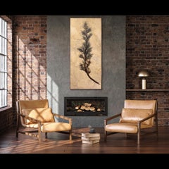 50 Million Year Old Fossil Palm Flower from the Green River Formation, Wyoming