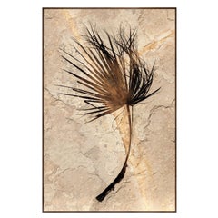 50 Million Year Old Fossil Palm Frond Mural, Green River Formation, Wyoming