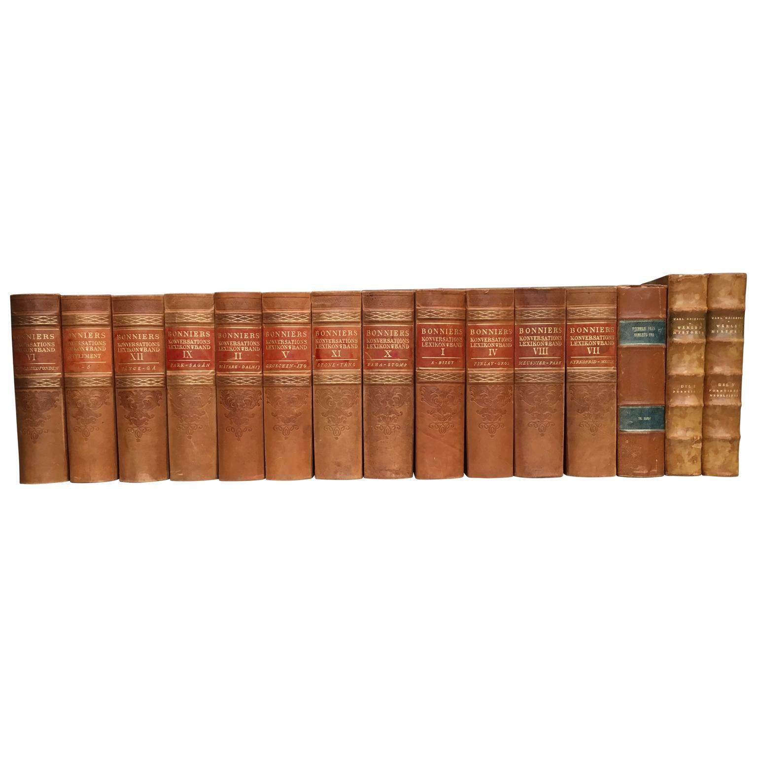 Scandinavian Antique Leather-Bound Books, Brown And Red Colors 5