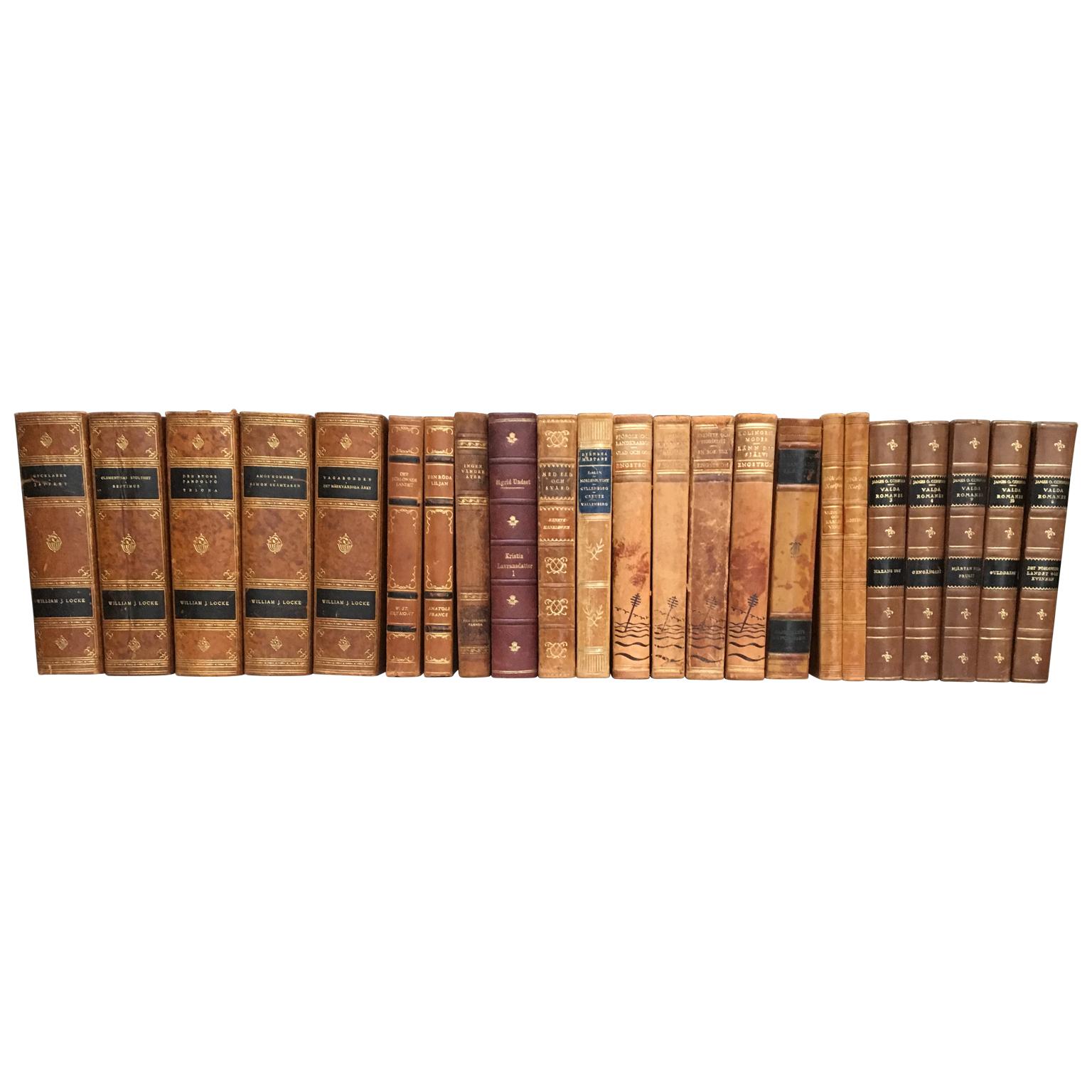 Scandinavian Antique Leather-Bound Books, Brown And Red Colors 6