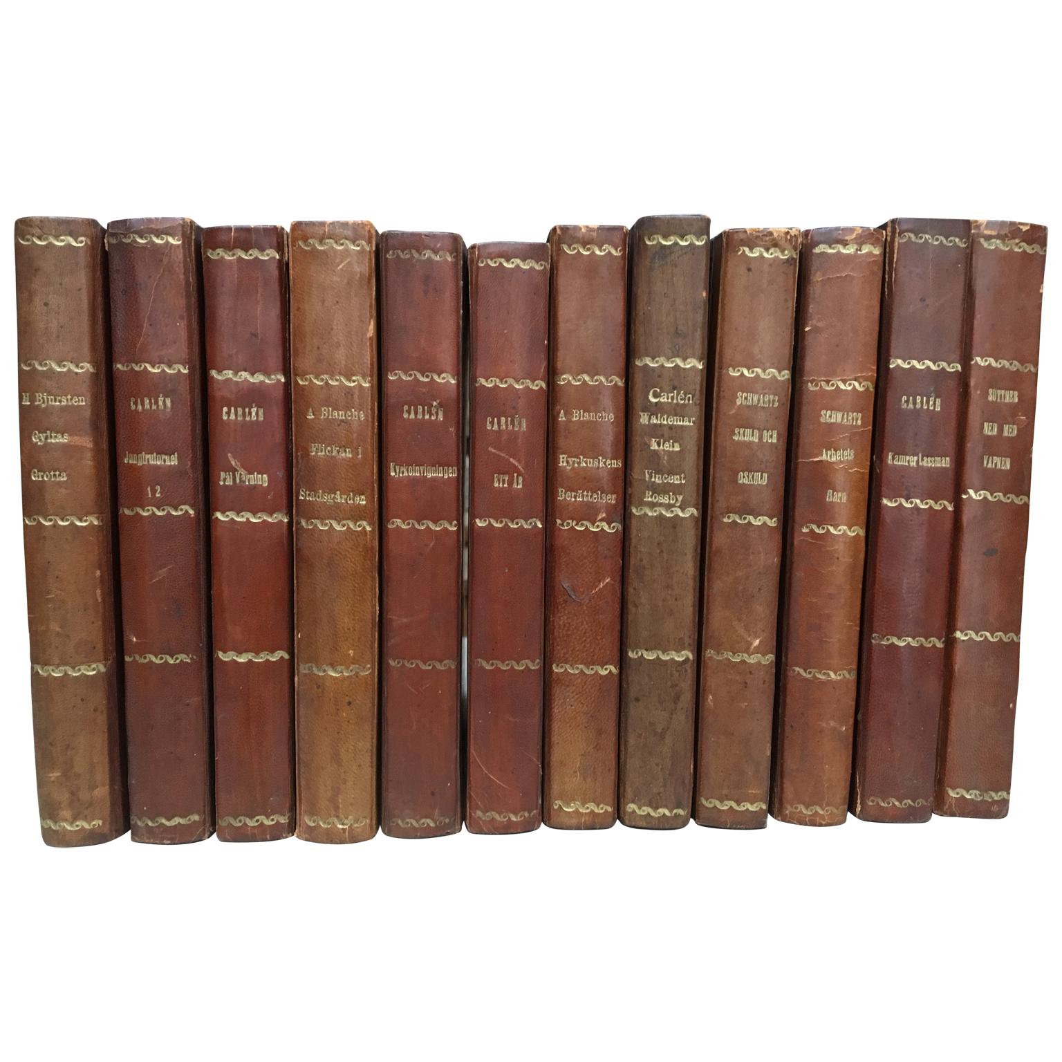 20th Century Scandinavian Antique Leather-Bound Books, Brown And Red Colors