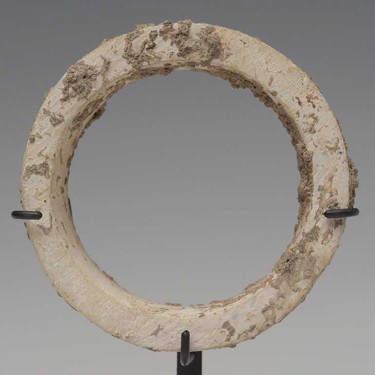 A set of Dong Son shell bangles with stand.

Age: Cambodia, Dong Son Period, 500 B.C.
Size: Diameter 7.6 - 7.7 C.M.
Size including stand: 19 - 26.8 C.M.
Condition: Nice condition overall (some expected degradation due to their age). 

100%