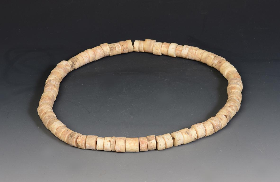 500 B.C., Prehistoric Shell Necklace at 1stDibs
