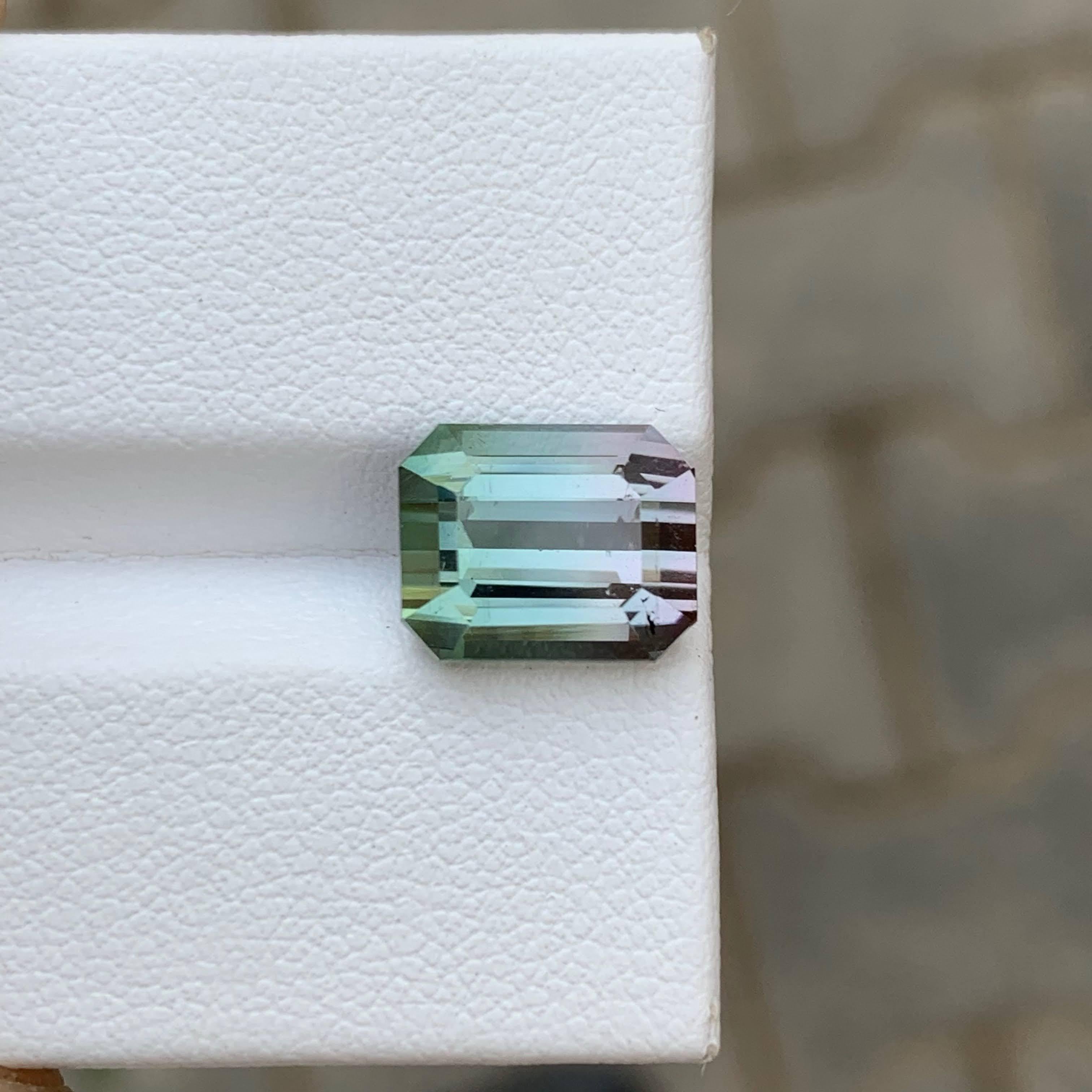 5,00 Karat Natürliche Lose Bi Color Turmalin Stein Smaragd Schliff Afrika Edelstein im Angebot 5