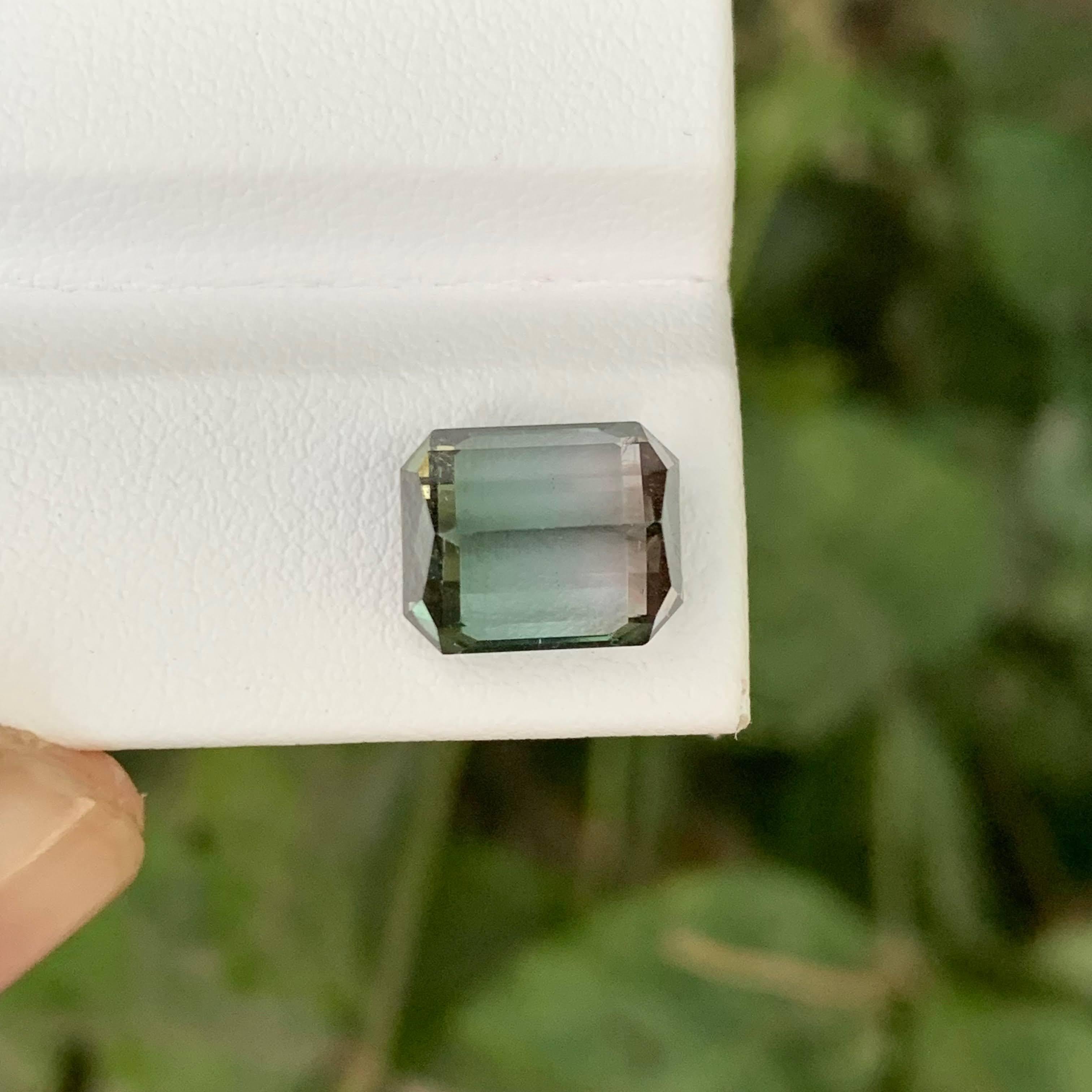 5,00 Karat Natürliche Lose Bi Color Turmalin Stein Smaragd Schliff Afrika Edelstein im Angebot 2