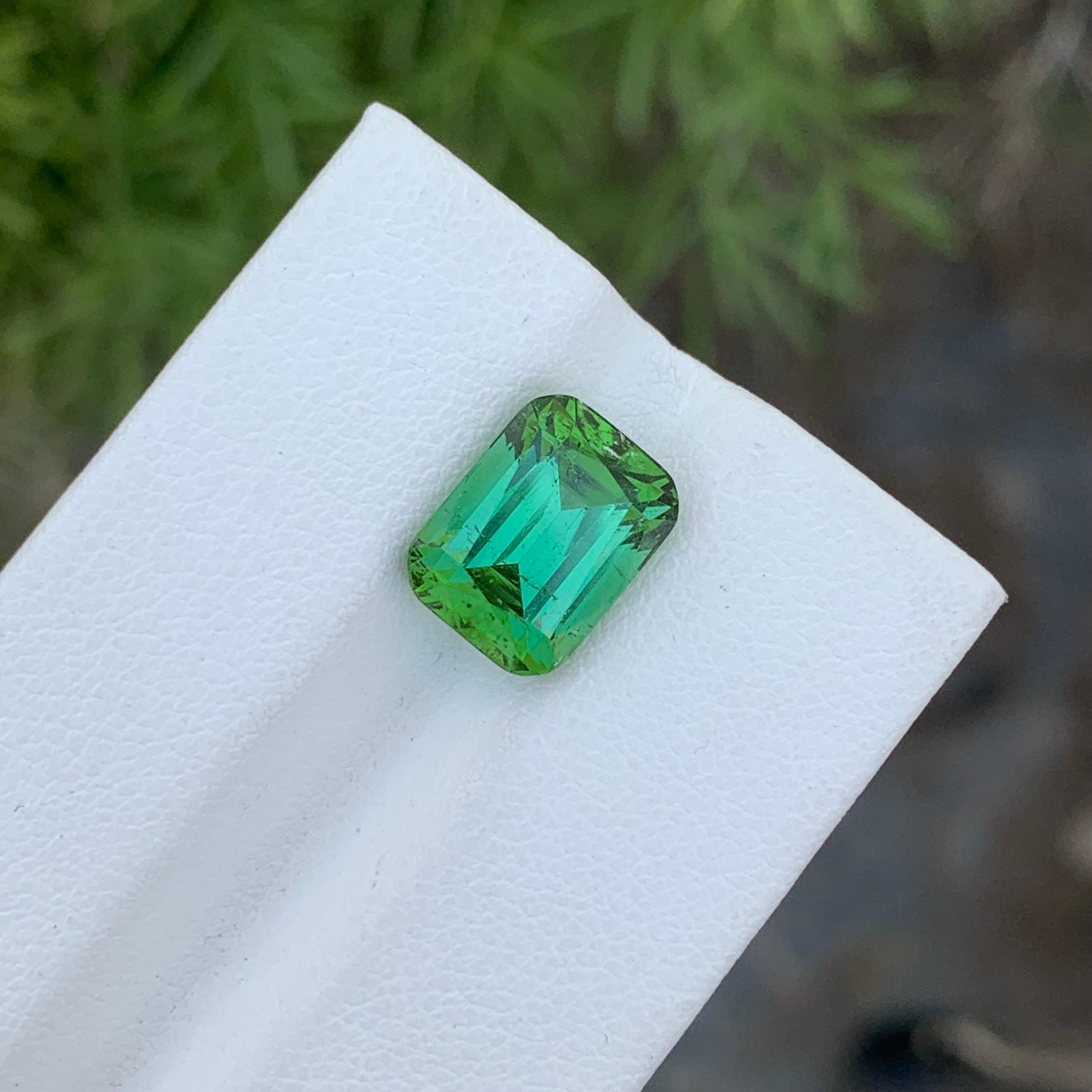 Loose Green Tourmaline
Weight: 5.00 Carats
Dimension: 10.7 x 8.1 x 7 Mm
Colour: Green
Origin: Afghanistan
Certificate: On Demand
Treatment: Non

Tourmaline is a captivating gemstone known for its remarkable variety of colors, making it a favorite
