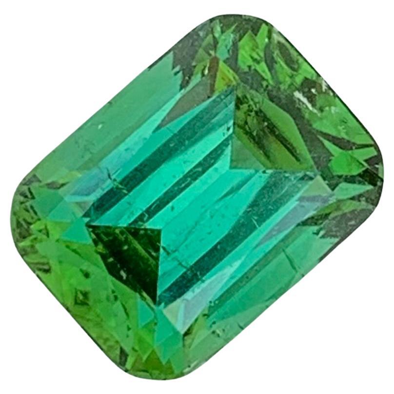 5.00 Carat Natural Loose Green Tourmaline Cushion Shape Gem For Jewellery Making For Sale