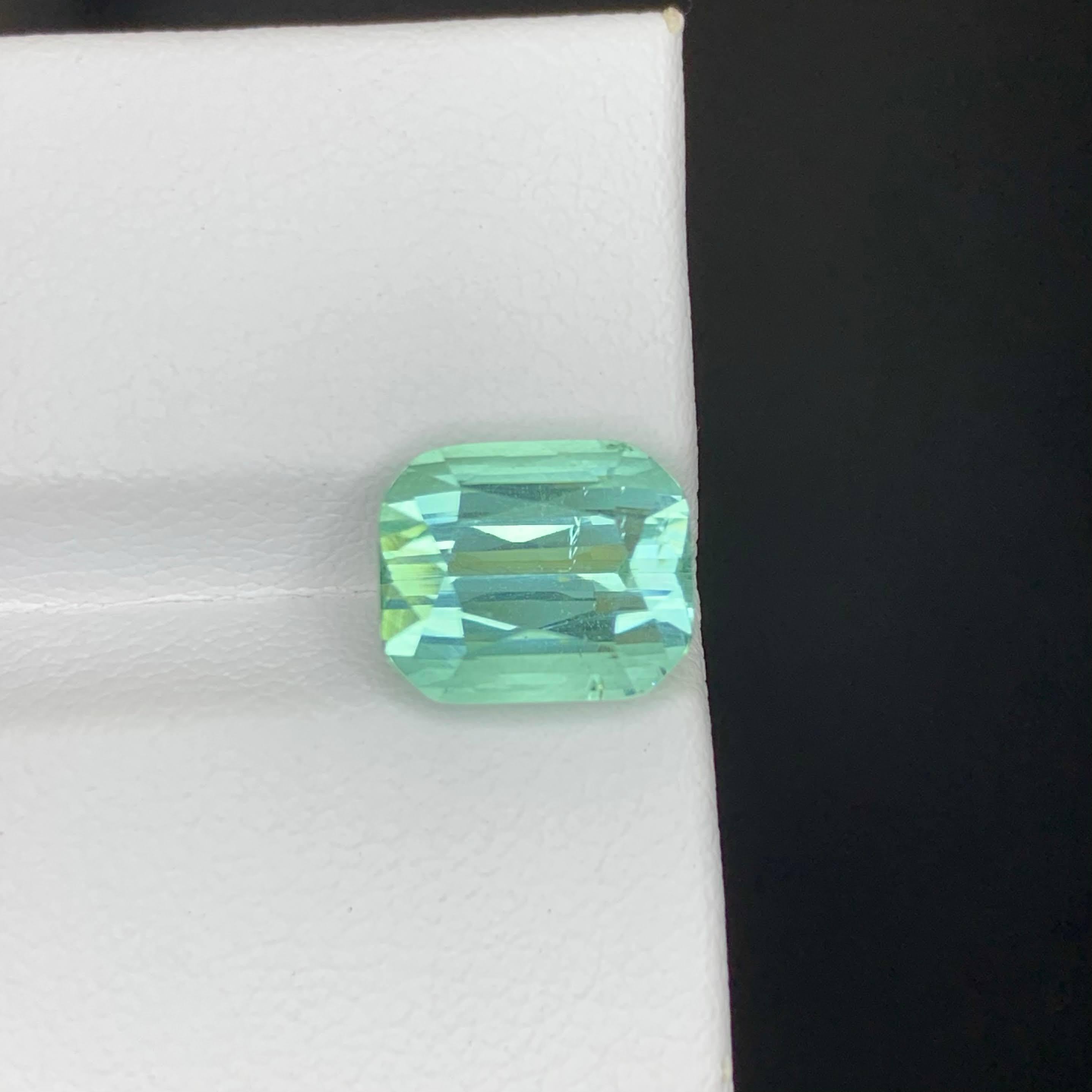Poids 5.00 carat 
Dimensions 10.0x8.4x7.3mm
Traitement Aucun 
Origine afghane 
Clarté VVS 
Forme Coupe Coussin 




Cette élégante tourmaline naturelle vert clair de 5,00 carats présente une teinte verte apaisante et fraîche qui incarne la pureté et