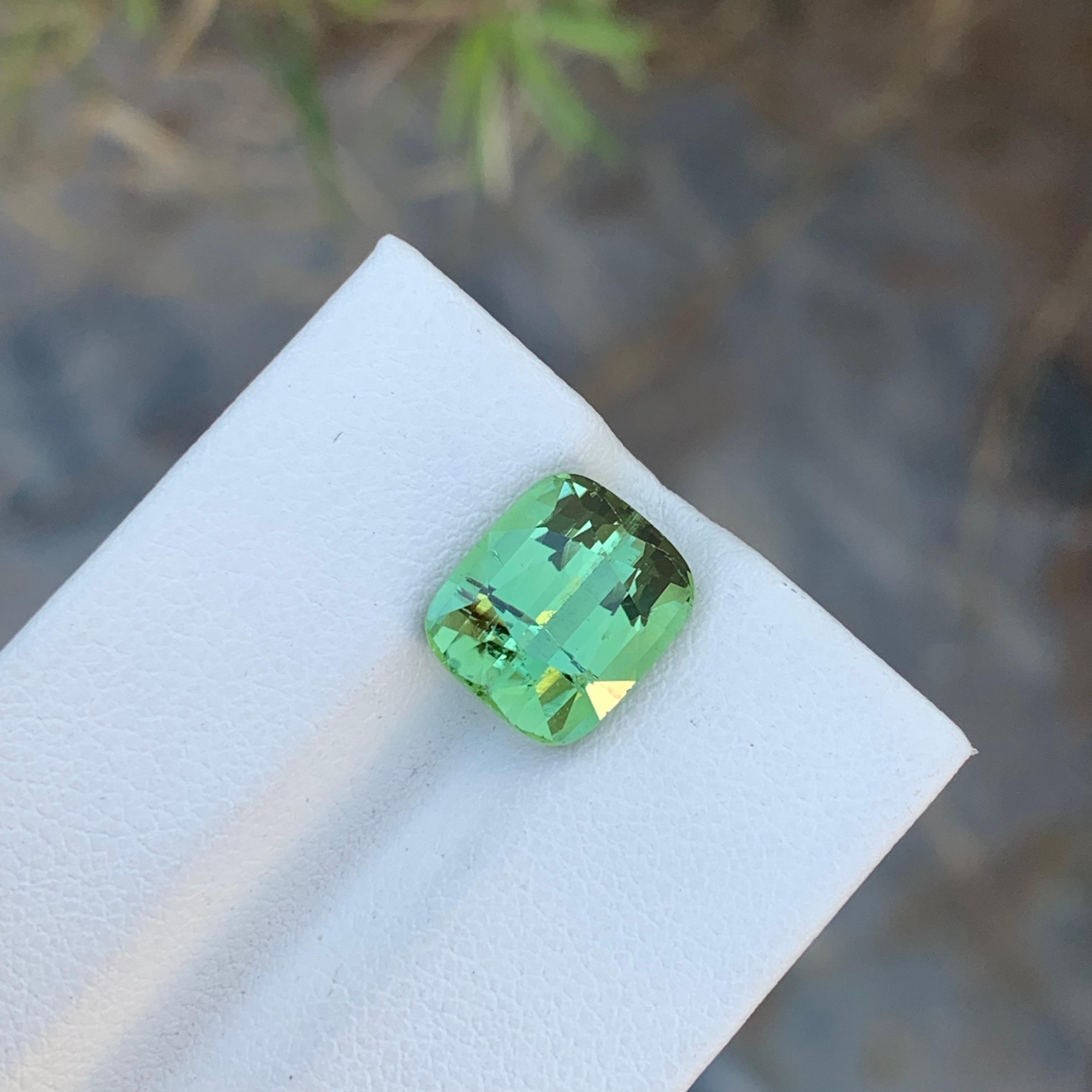 Loose Mint Tourmaline
Weight: 5.00 Carats
Dimension: 10.6 x 9.1 x6.5 Mm
Colour: Mint Green
Origin: Afghanistan
Treatment: Non
Certificate: On Demand
Shape: Cushion 

Mint tourmaline, a mesmerizing member of the colorful tourmaline family, enchants