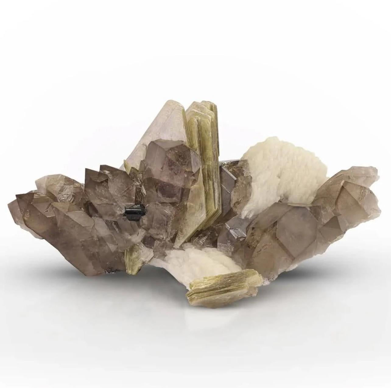 Informationen zum Produkt:

Probenart: Spitz zulaufender Rauchquarzkristall auf Muskovit-Cleavelandit-Matrix

Gewicht: 500 Gramm

Abmessungen: H: 3,5 x B: 4,5 x T: 4,5 cm

Behandlung: Keine

Herkunft: Bezirk Skardu, Gilgit Baltistan,