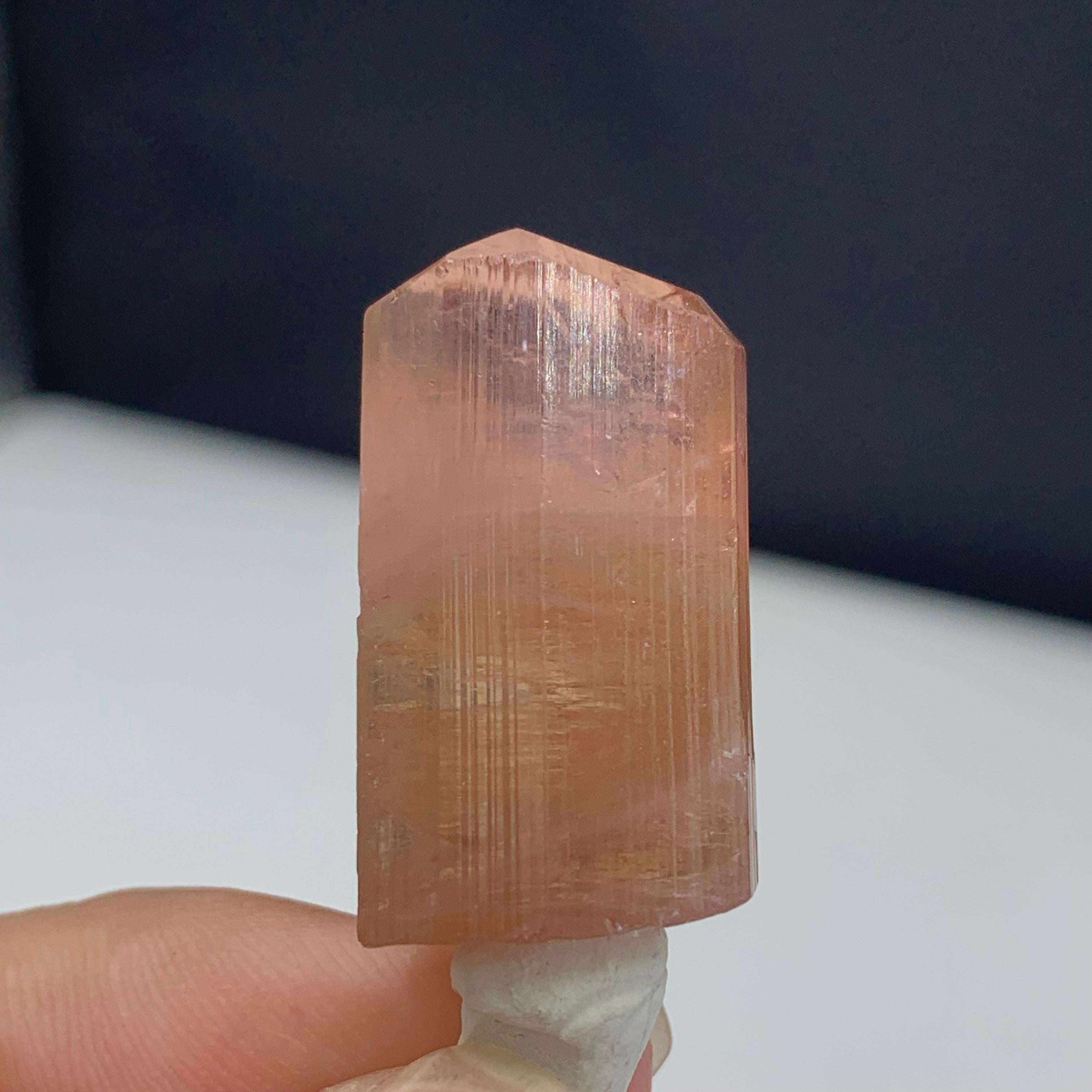 Amazing Peach Color Terminated Tourmaline Crystal From Afghanistan
WEIGHT: 50.00 Carat
DIMENSIONS: 2.8 x 1.5 x 1 Cm
ORIGIN: Paprook Mine, Afghanistan
Color : Peach
TREATMENT: None

Tourmalines are part of a family of closely related mineral