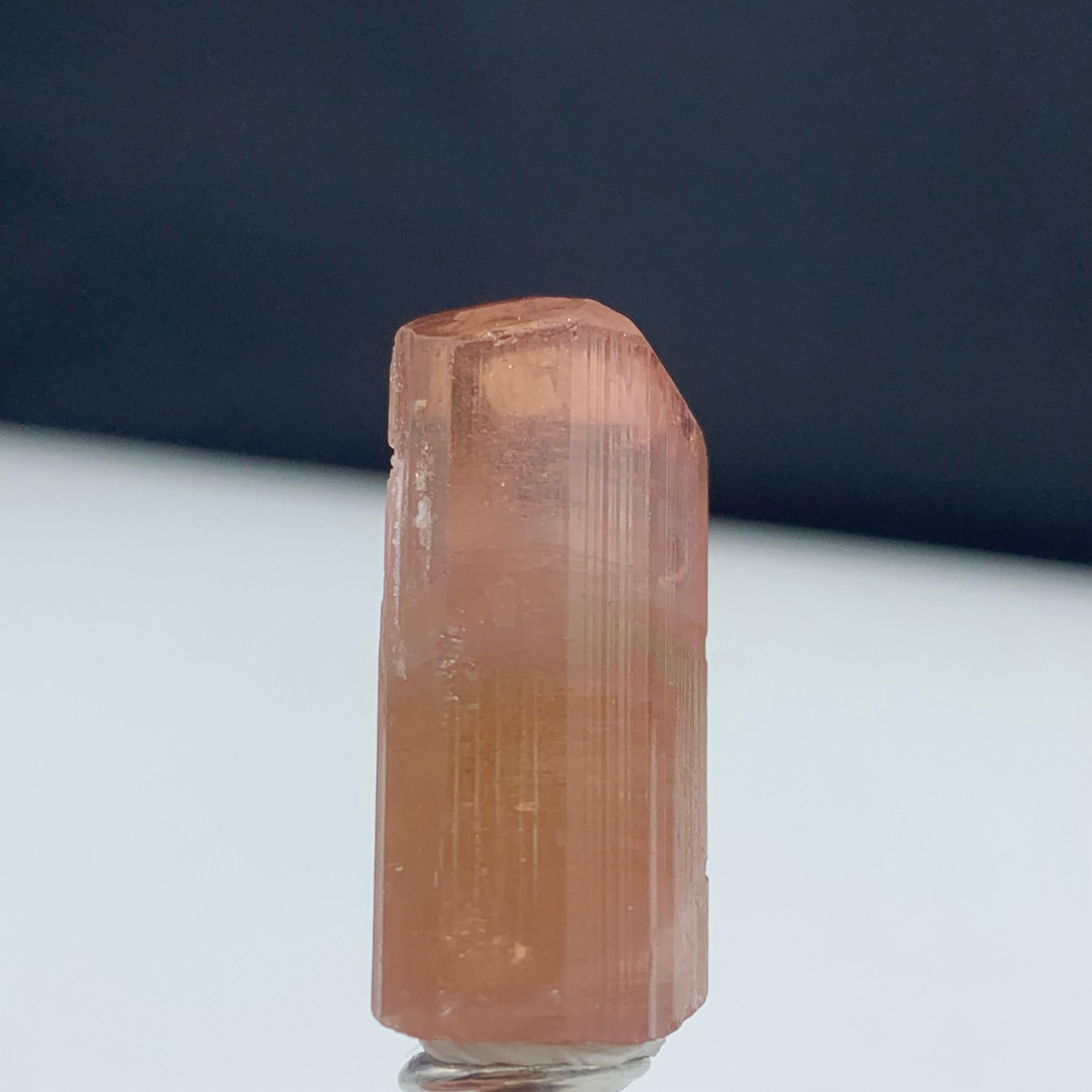 Adam Style 50.00 Carat Amazing Peach Color Terminated Tourmaline Crystal From Afghanistan For Sale