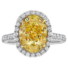 Bague halo jaune clair de 5 carats VS1 avec diamants ovales