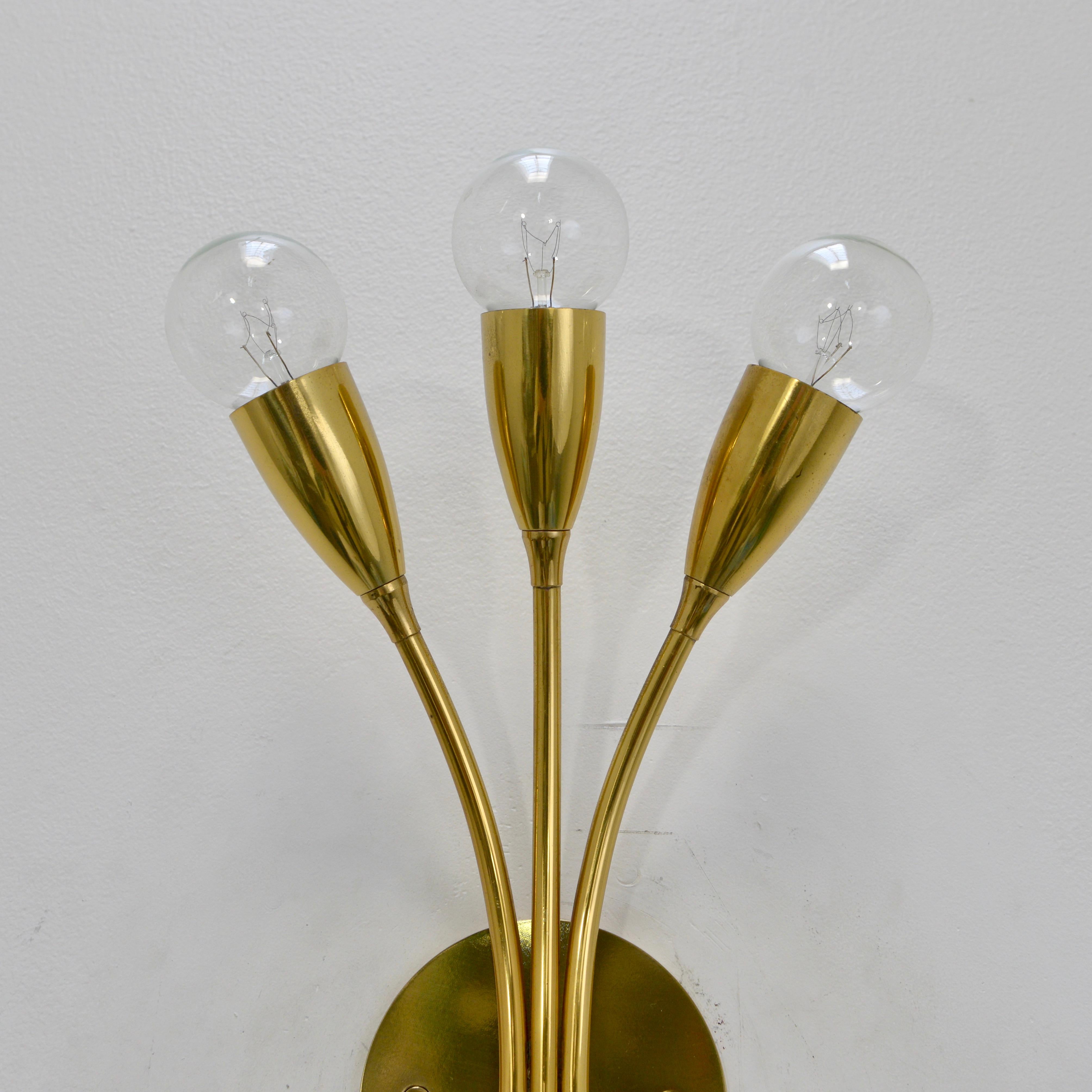 1950s Botanical Sconces In Good Condition In Los Angeles, CA