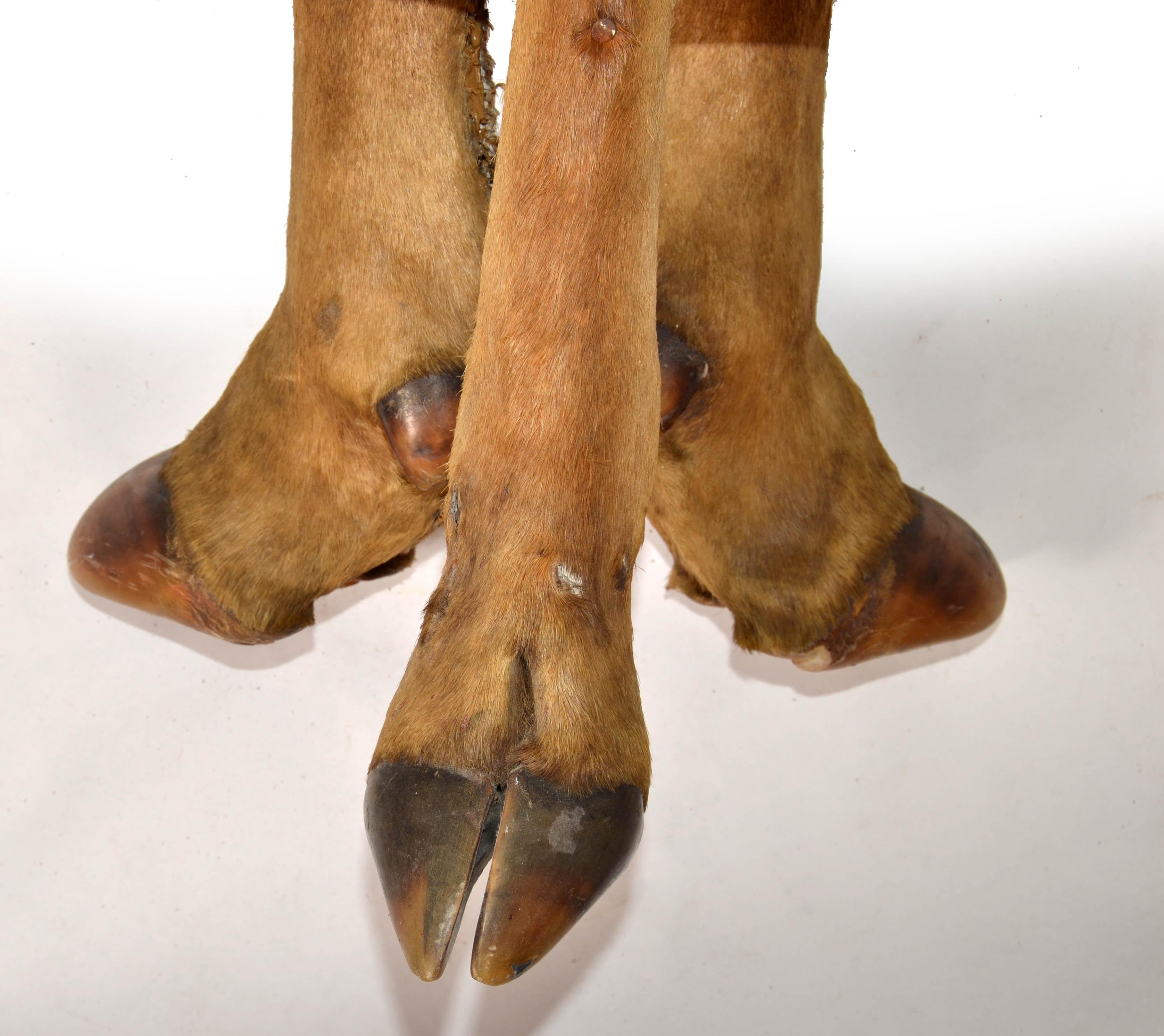 50s Rustic European Taxidermy Oak Top Low Table Bonsai Stand Mid-Century Modern For Sale 4