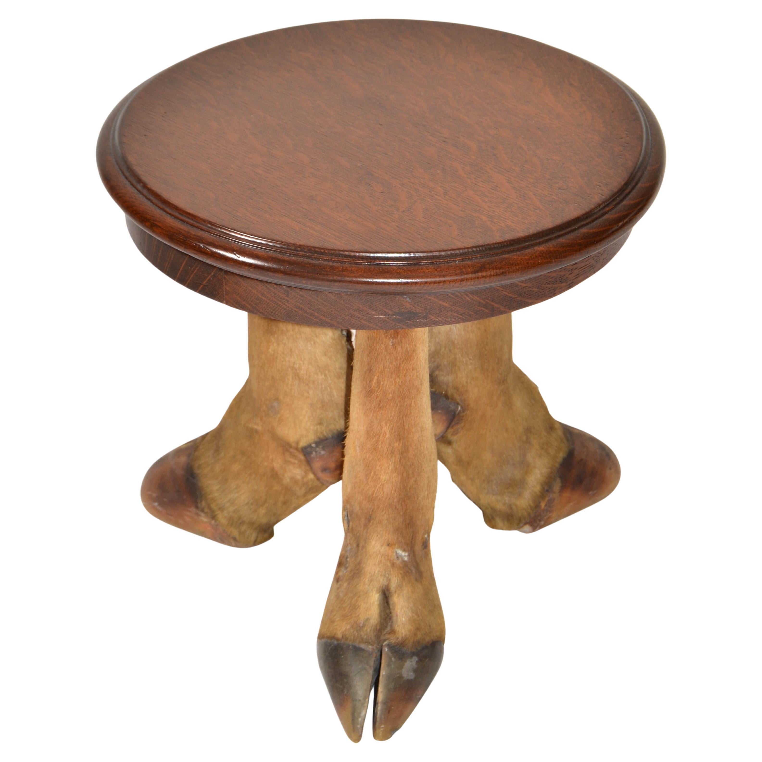 50s Rustic European Taxidermy Oak Top Low Table Bonsai Stand Mid-Century Modern For Sale
