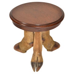 Table basse de taxidermie européenne rustique des années 50 Bonsai Stand Mid-Century Modern
