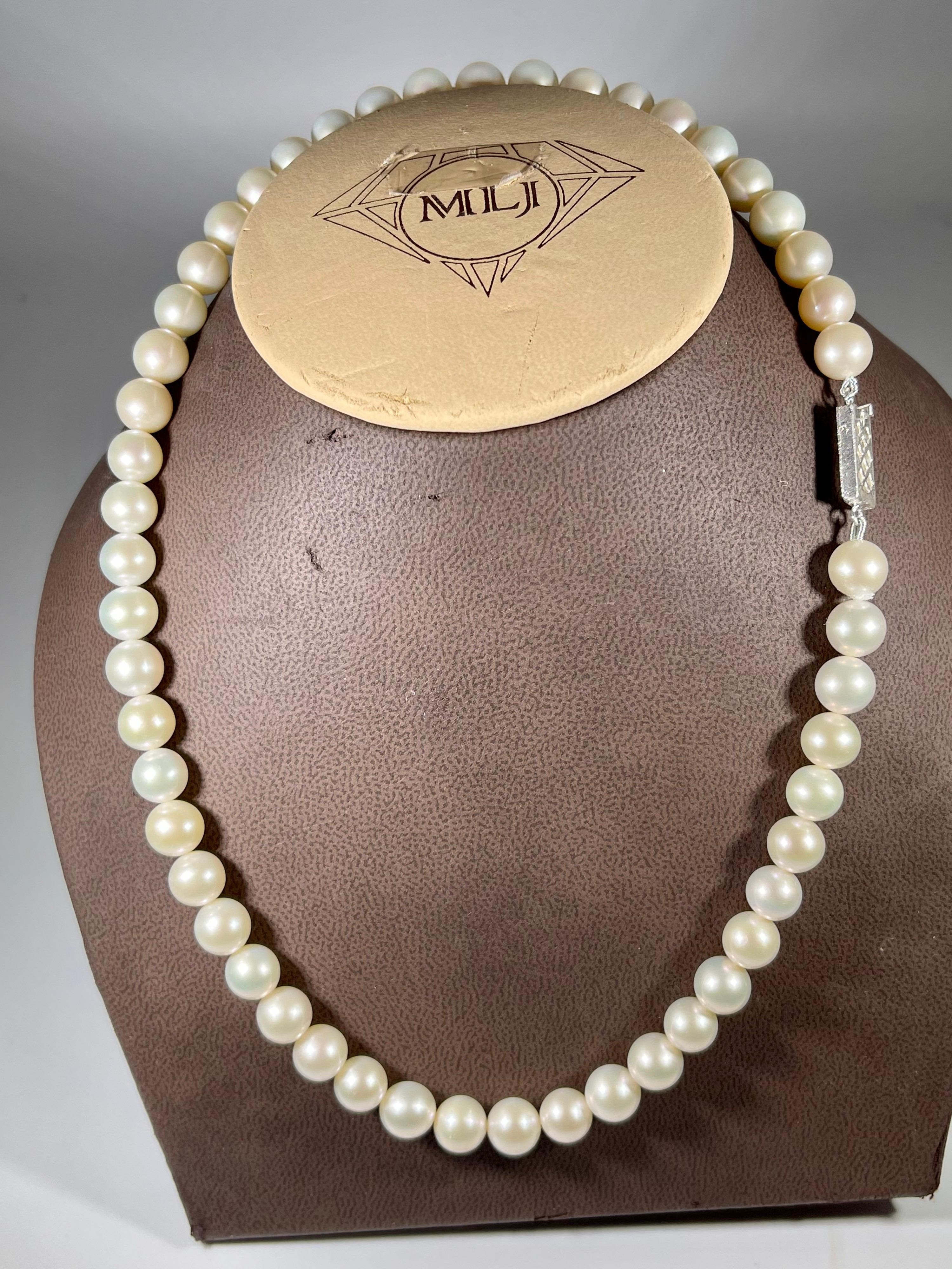 51 Round White Fresh Water  Pearls Strand Necklace Set in Silver Clasp For Sale 2