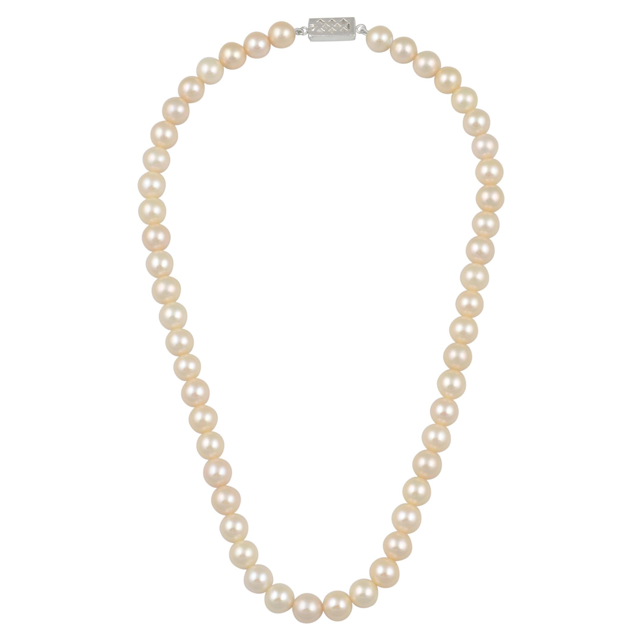 51 Round White Fresh Water  Pearls Strand Necklace Set in Silver Clasp For Sale