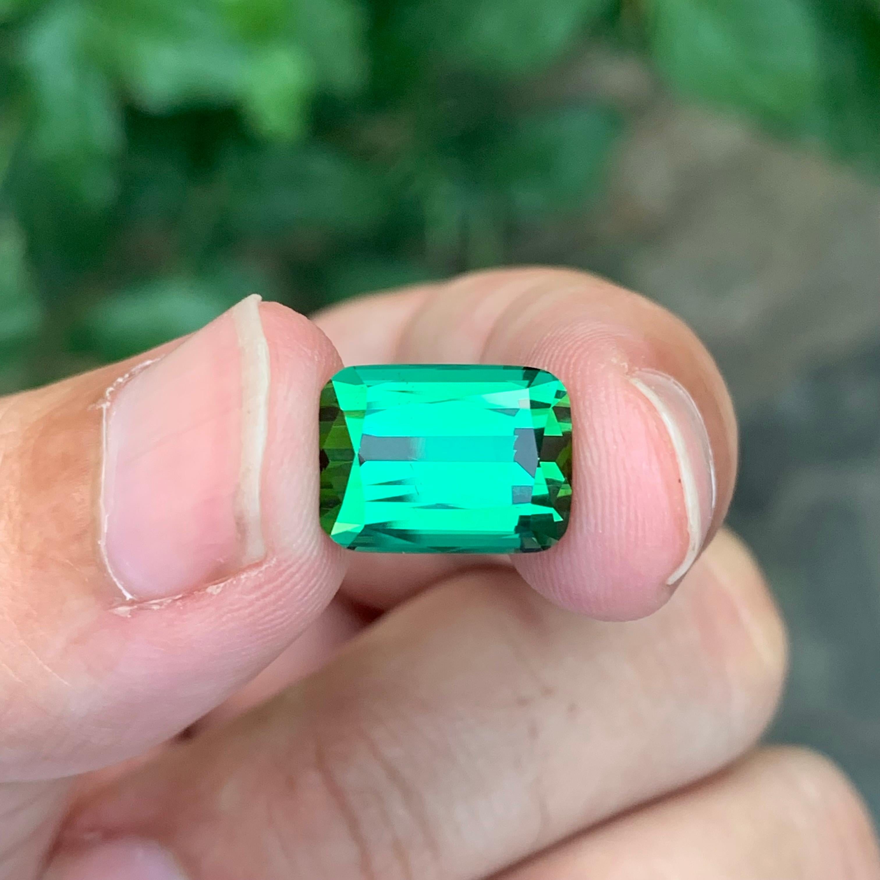 5.10 Carat Natural Loose Green Tourmaline Cushion Shape Gemstone (Tourmaline verte en forme de coussin) en vente 4