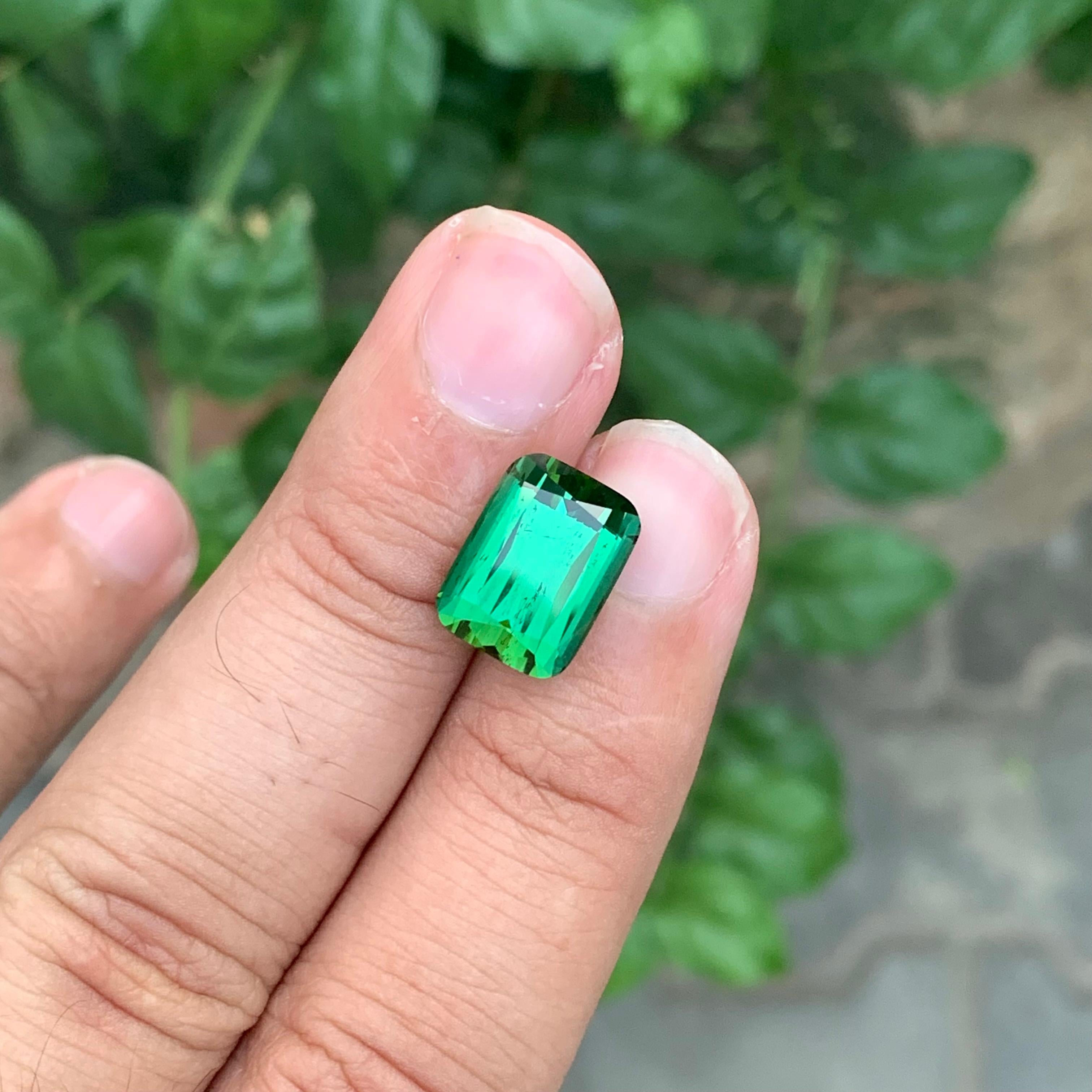 5.10 Carat Natural Loose Green Tourmaline Cushion Shape Gemstone (Tourmaline verte en forme de coussin) en vente 6