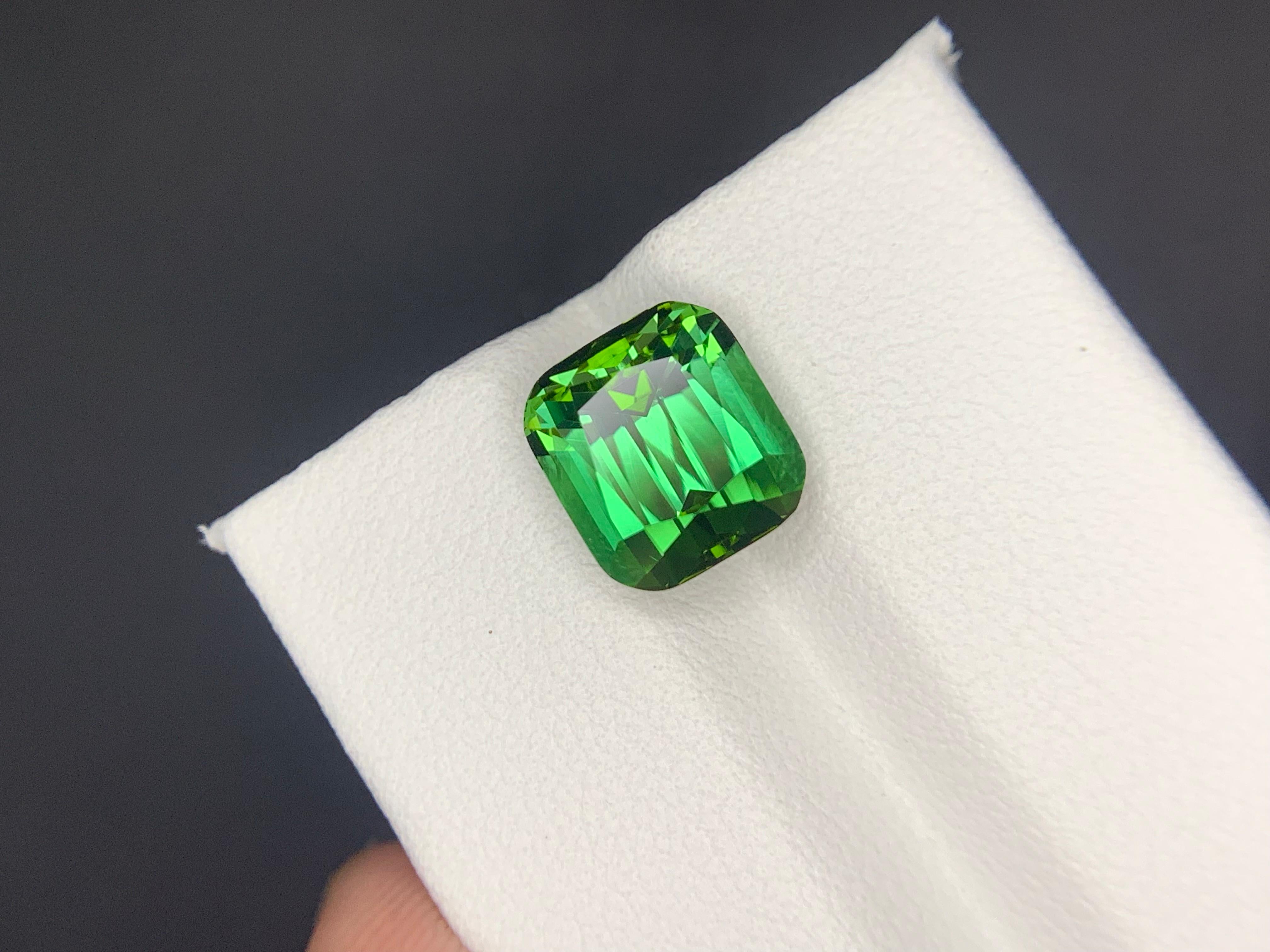 5.10 Carats Natural Faceted Green Tourmaline Gemstone (Tourmaline verte à facettes) en vente 5