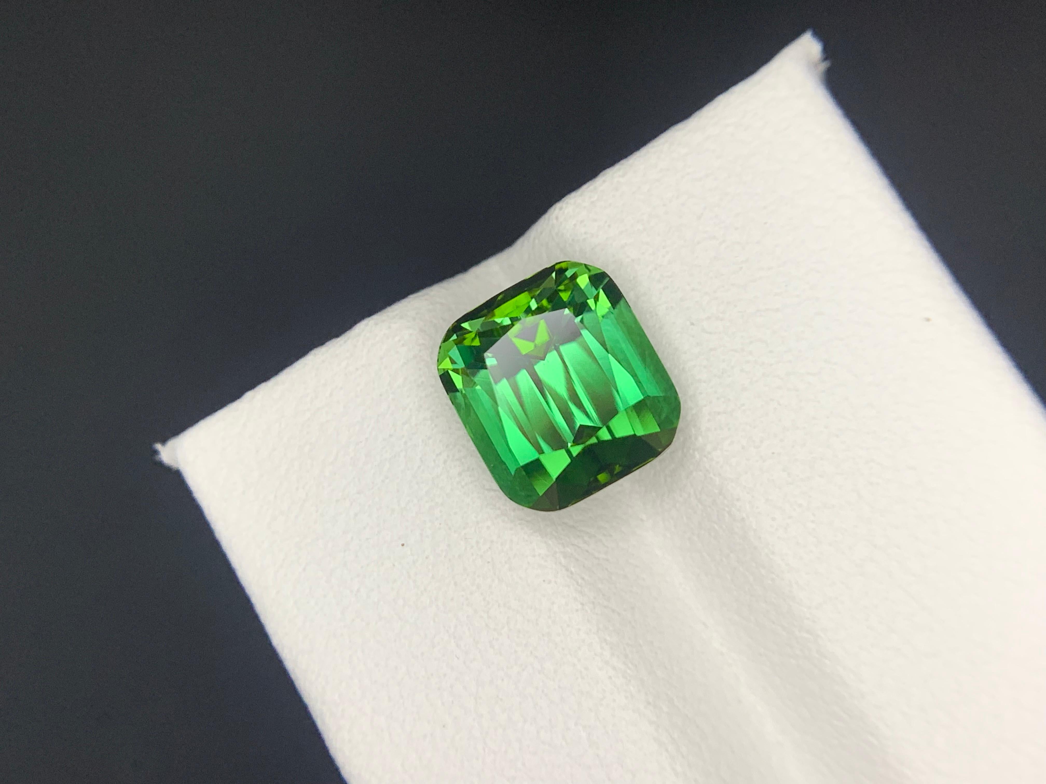 5.10 Carats Natural Faceted Green Tourmaline Gemstone (Tourmaline verte à facettes) en vente 6